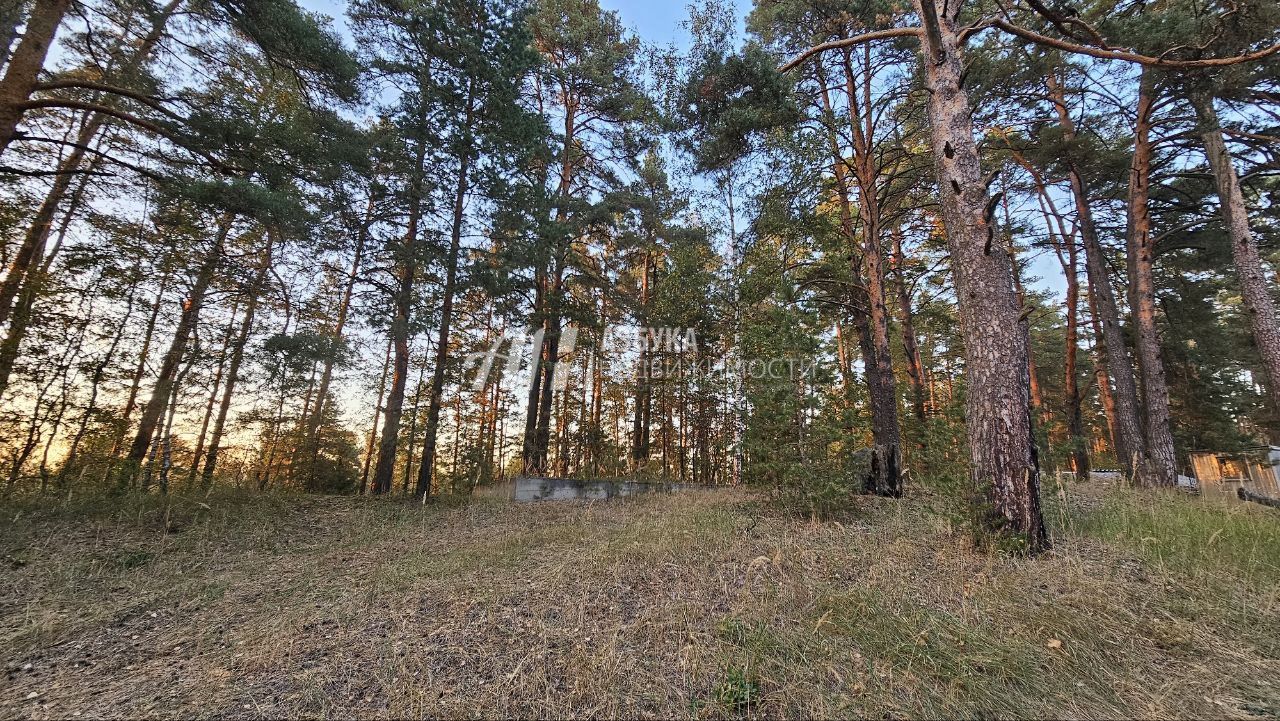 Земли поселения Московская область, городской округ Щёлково, деревня Первая Алексеевка, коттеджный посёлок Хвойный