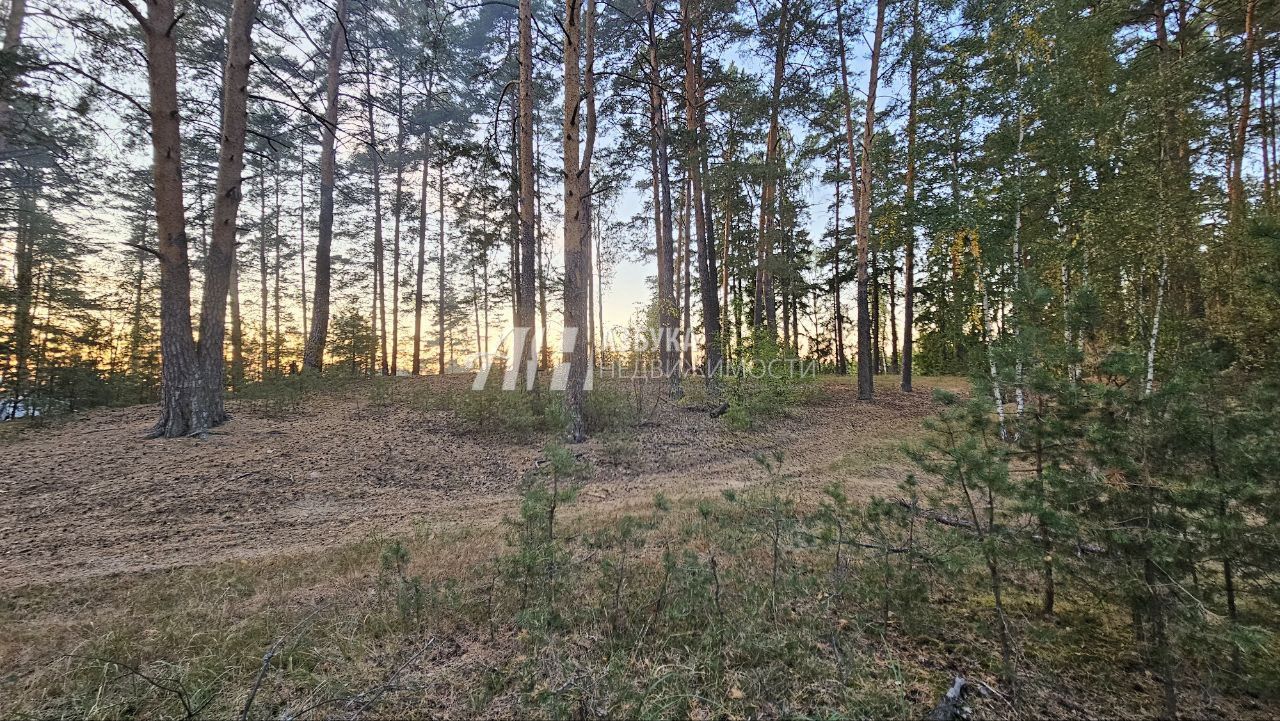 Земли поселения Московская область, городской округ Щёлково, деревня Первая Алексеевка, коттеджный посёлок Хвойный