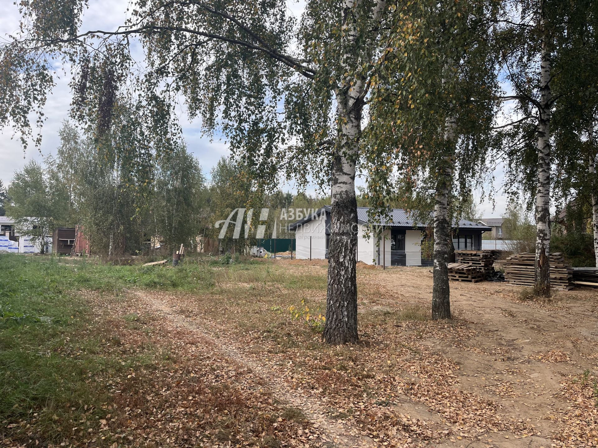 Земли поселения Московская область, Одинцовский городской округ, Звенигород, Земляничный переулок