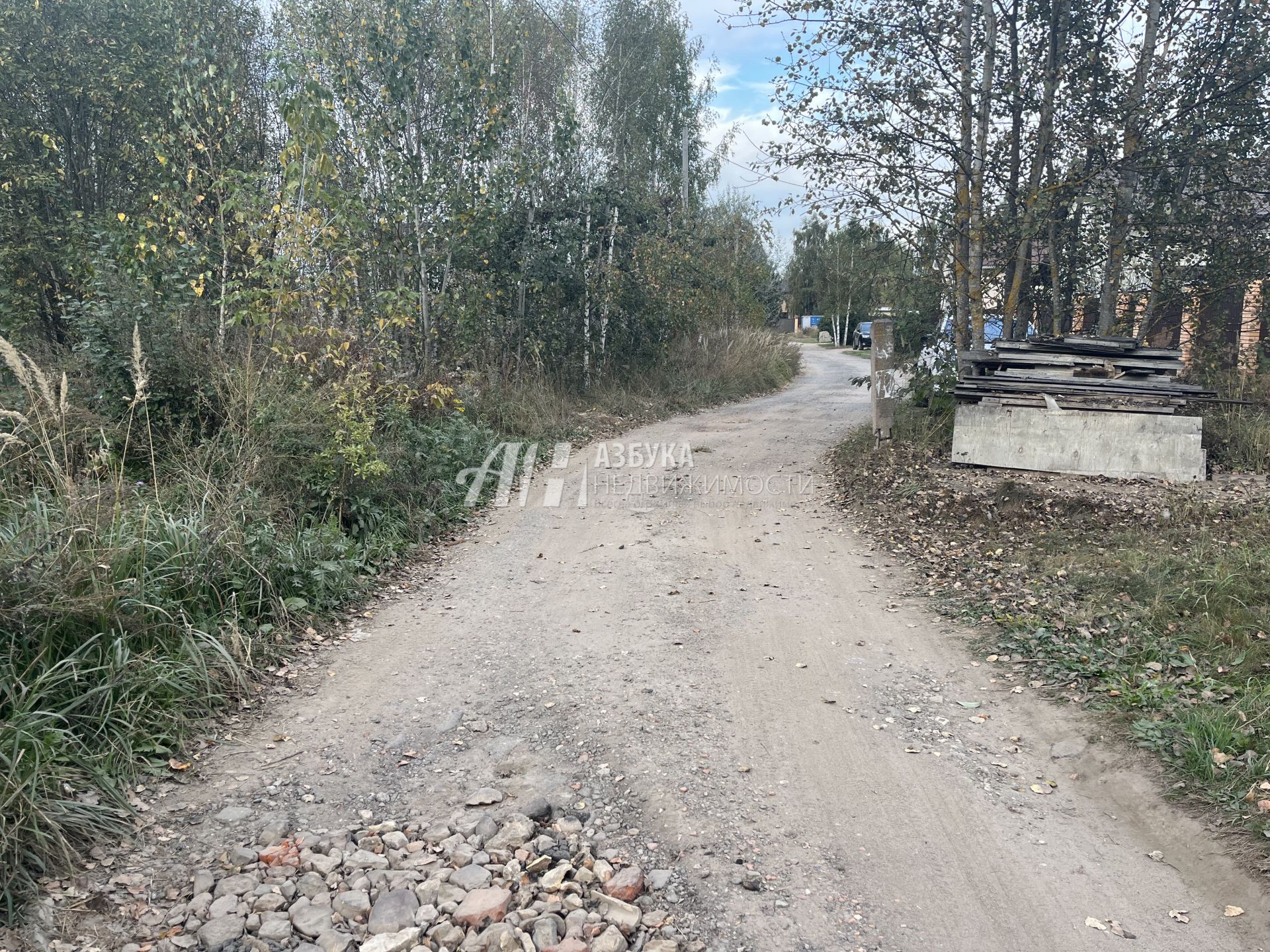 Земли поселения Московская область, Одинцовский городской округ, Звенигород, Земляничный переулок