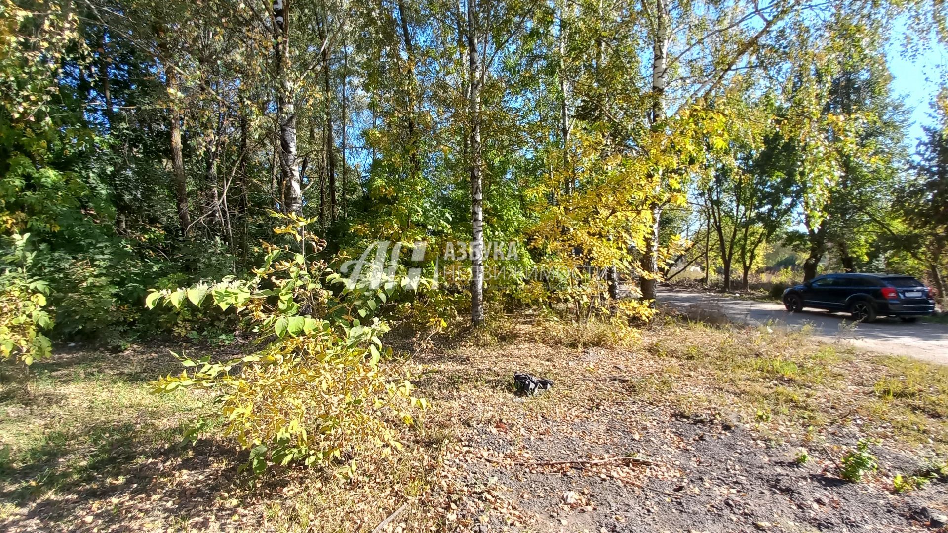 Земли поселения Московская область, городской округ Красногорск, рабочий посёлок Нахабино, улица Победы