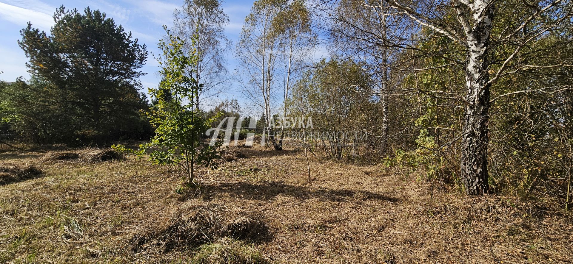 Земли поселения Московская область, Можайский городской округ, СНТ Прудня