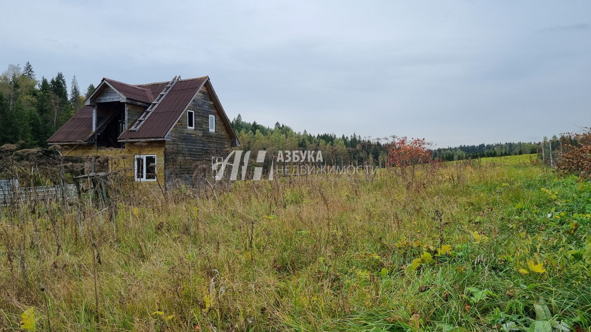 Земли сельхозназначения Московская область, городской округ Пушкинский, деревня Хлопенево