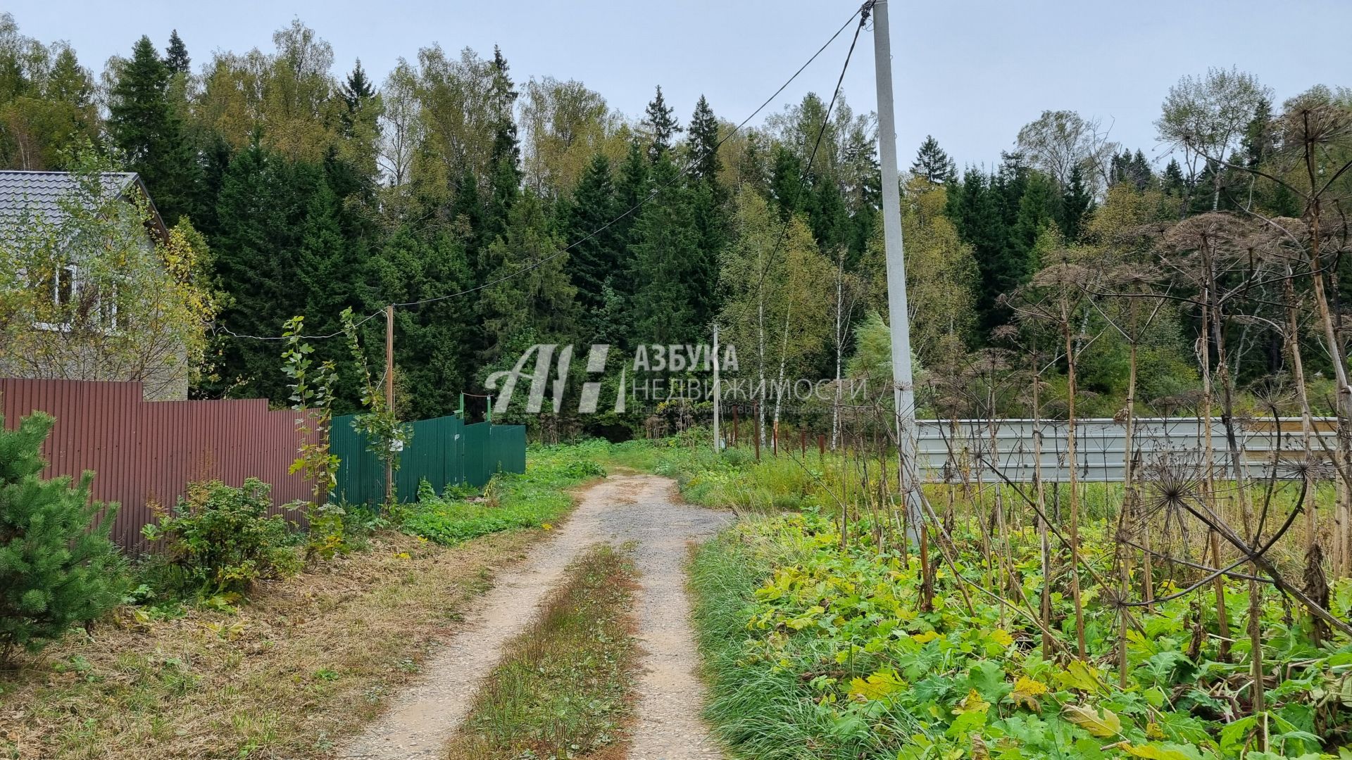 Земли сельхозназначения Московская область, городской округ Пушкинский, деревня Хлопенево