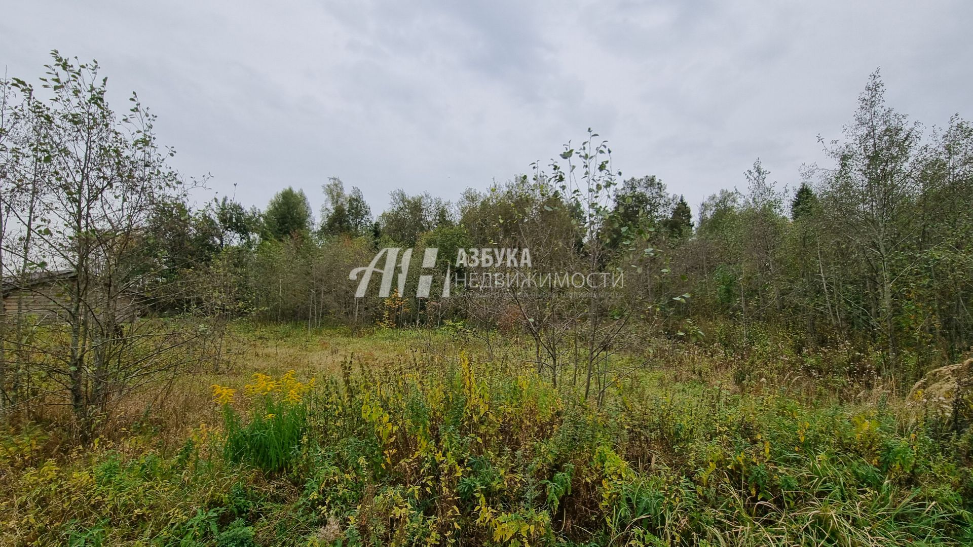 Земли поселения Московская область, городской округ Пушкинский, деревня Артёмово