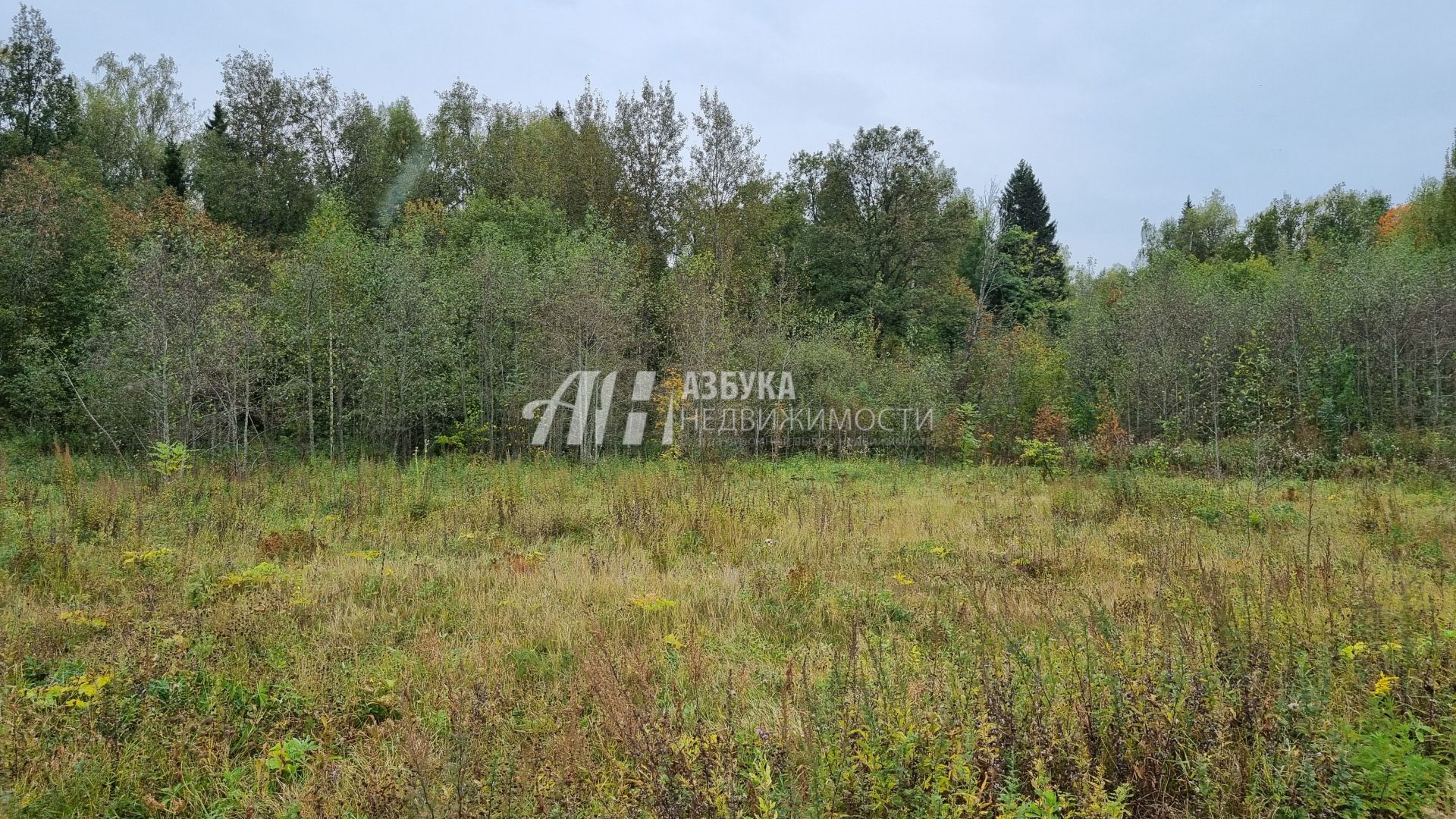 Земли поселения Московская область, городской округ Пушкинский, деревня Артёмово