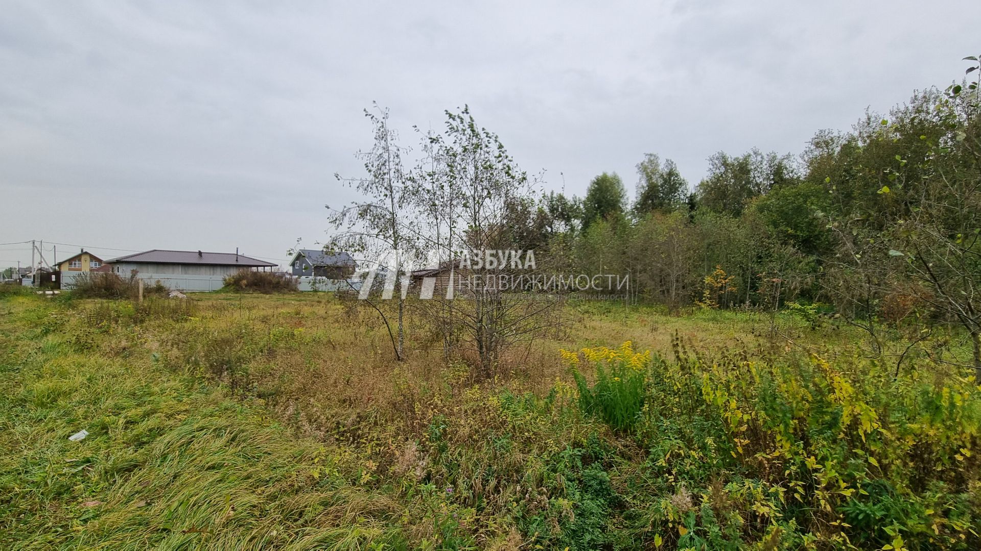 Земли поселения Московская область, городской округ Пушкинский, деревня Артёмово