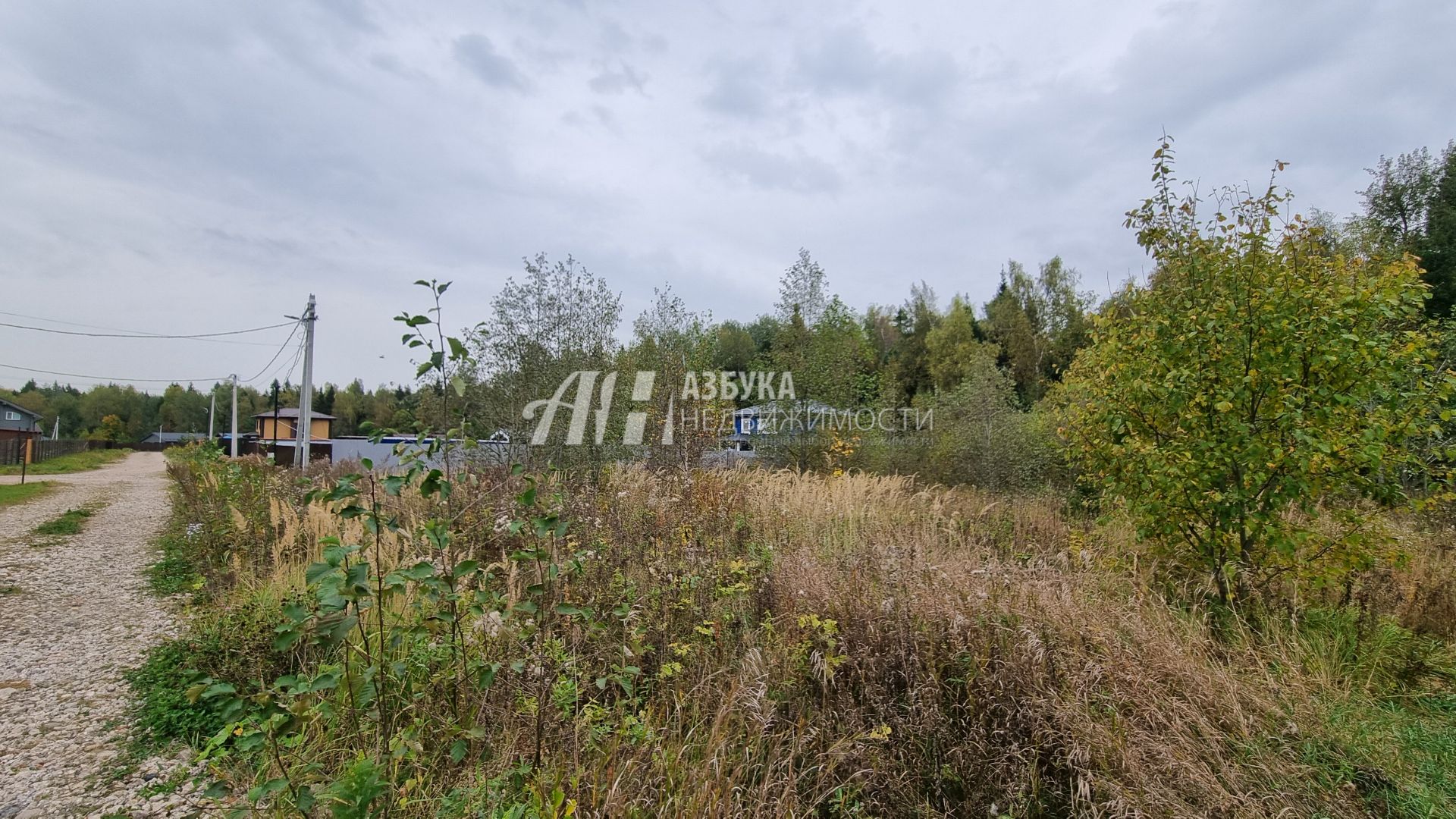 Земли поселения Московская область, городской округ Пушкинский, деревня Артёмово