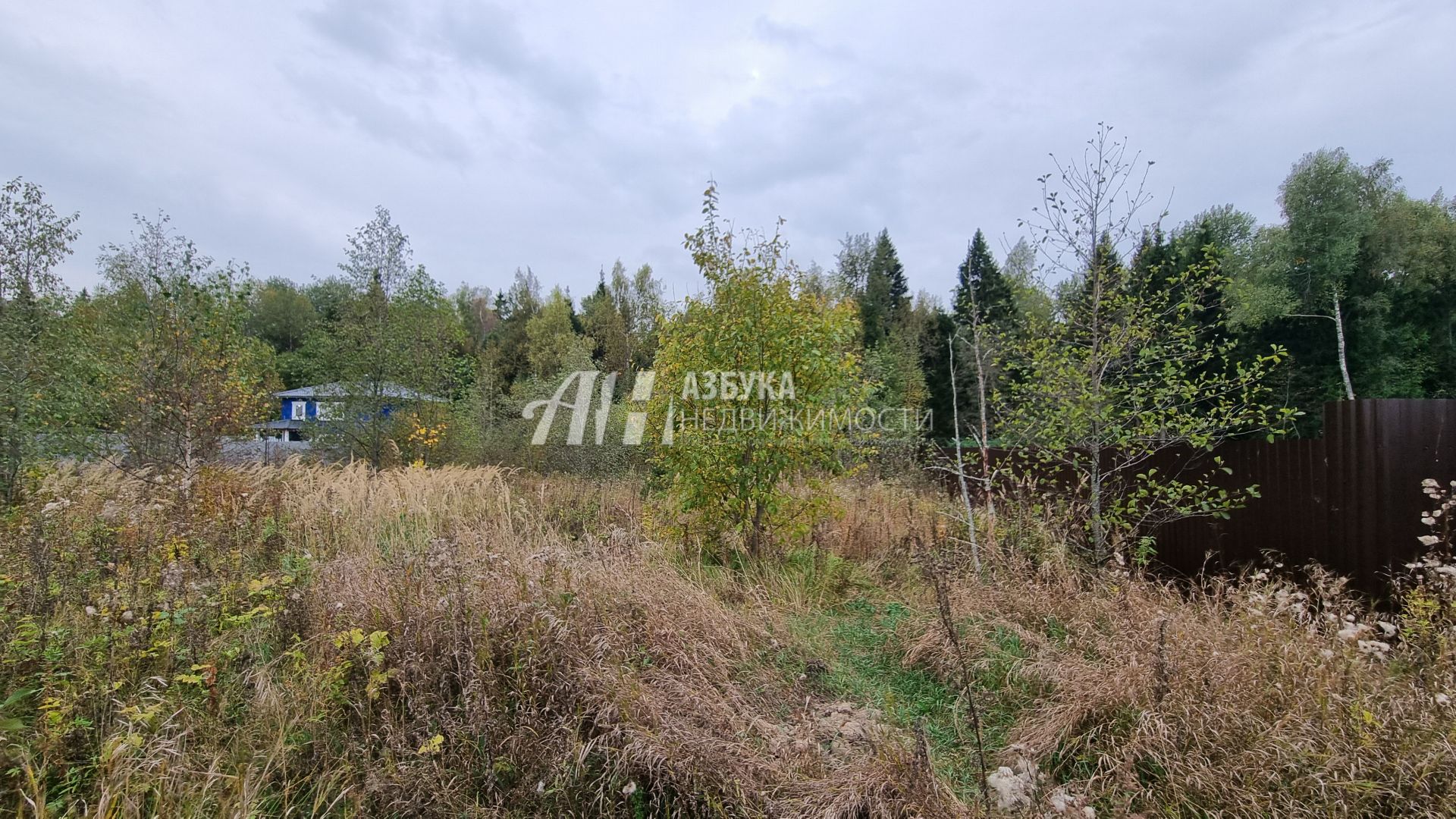 Земли поселения Московская область, городской округ Пушкинский, деревня Артёмово