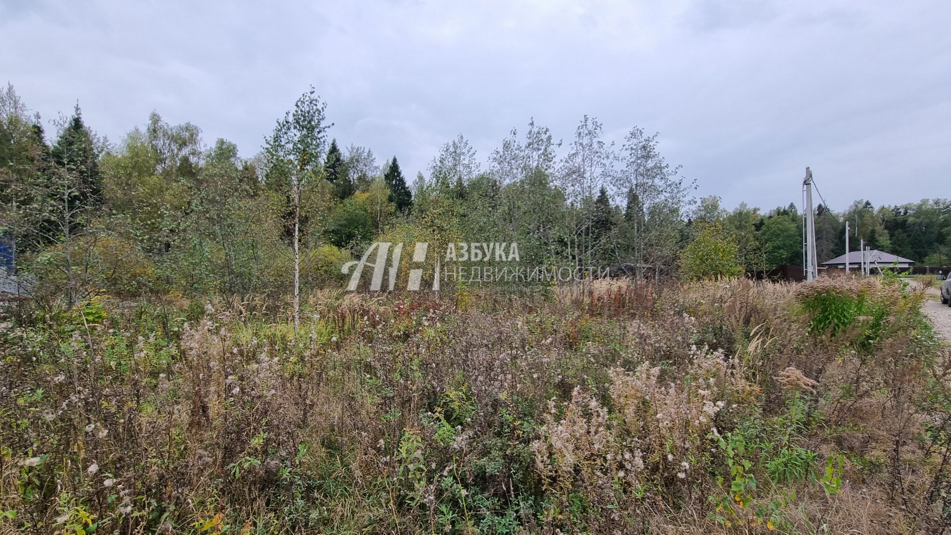 Земли поселения Московская область, городской округ Пушкинский, деревня Артёмово