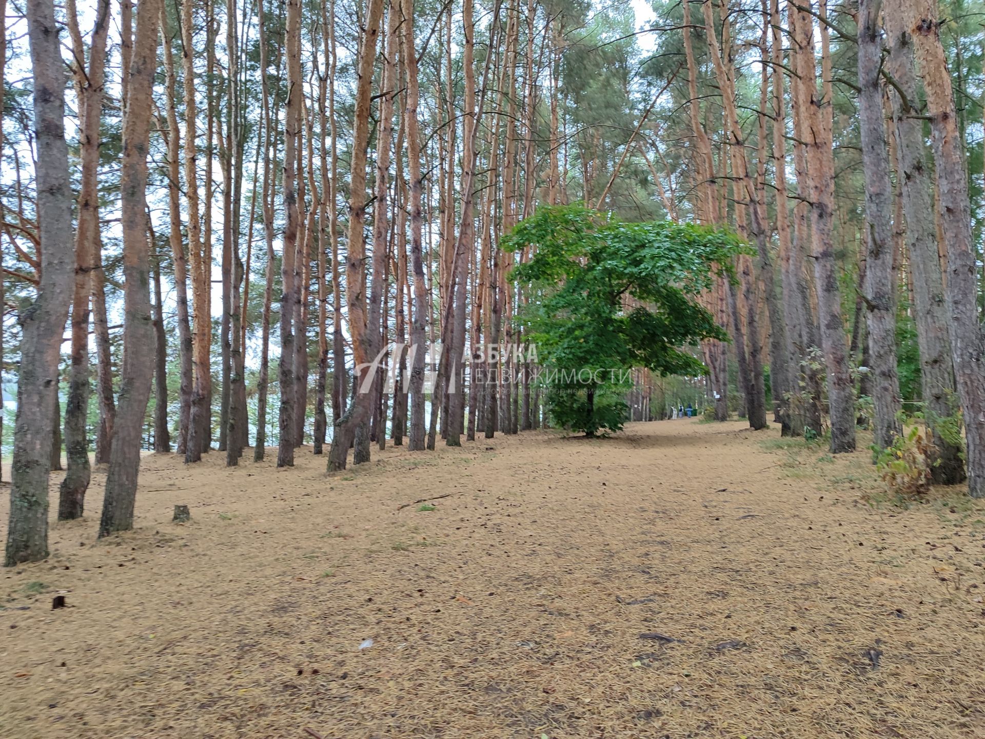 Земли поселения Московская область, Можайский городской округ, деревня Горетово, Бестужевская улица