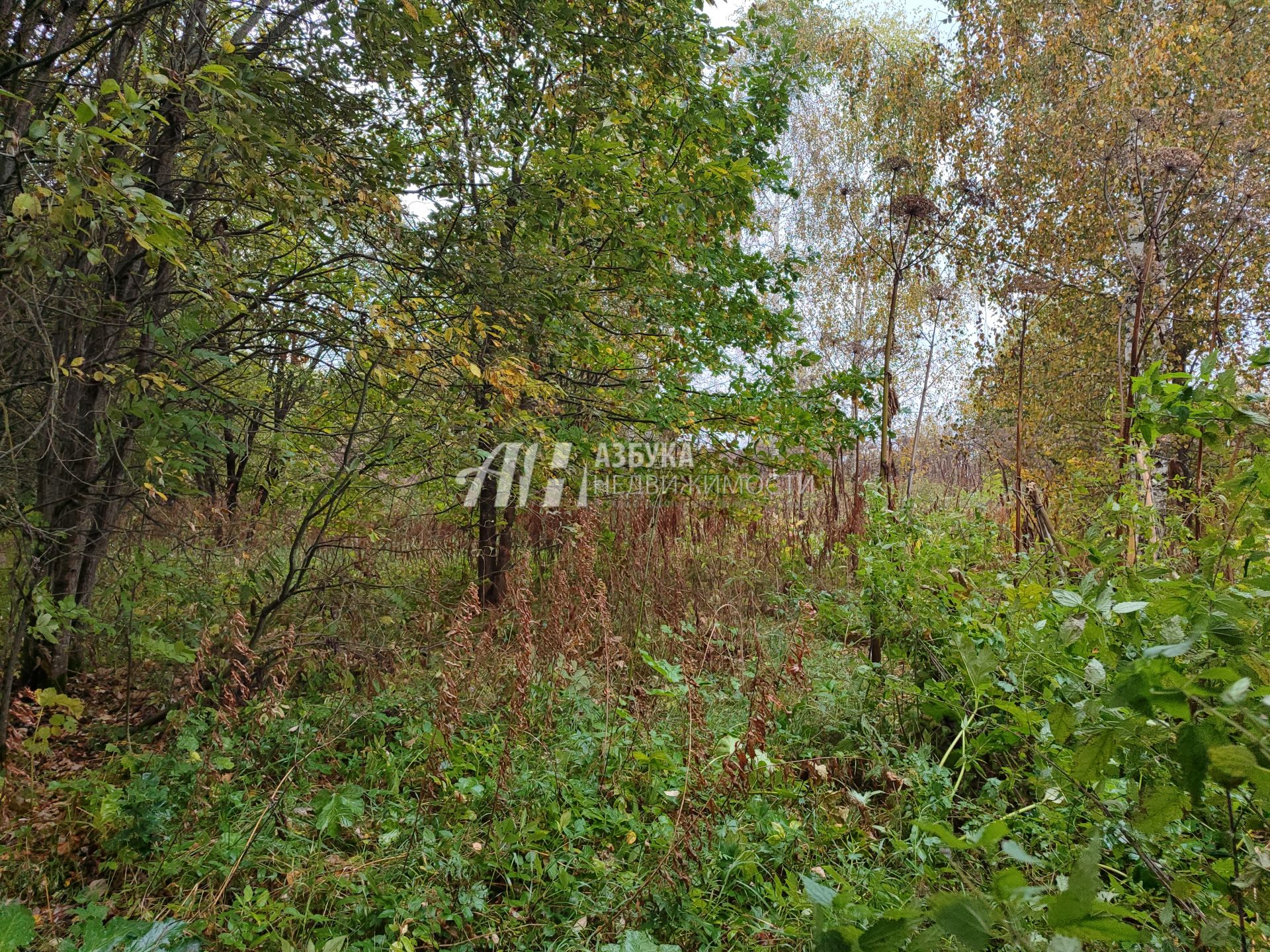 Земли поселения Московская область, Можайский городской округ, деревня Горетово, Бестужевская улица