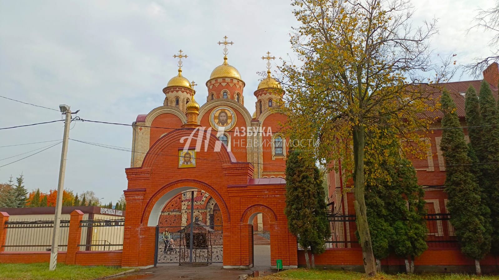 Земли поселения Московская область, городской округ Домодедово, село Константиново, Вязовая улица