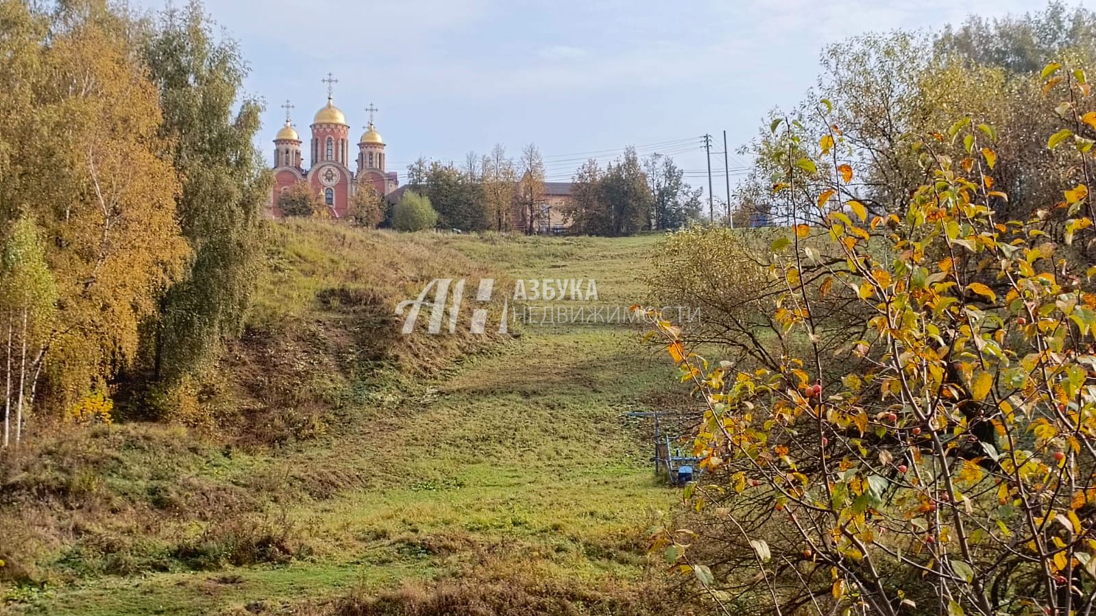 Земли поселения Московская область, городской округ Домодедово, село Константиново, Вязовая улица