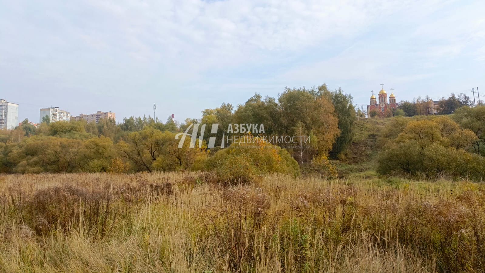 Земли поселения Московская область, городской округ Домодедово, село Константиново, Вязовая улица