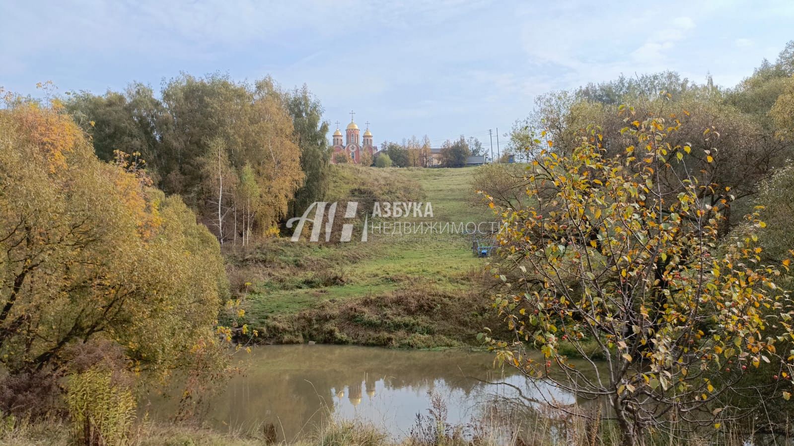 Земли поселения Московская область, городской округ Домодедово, село Константиново, Вязовая улица