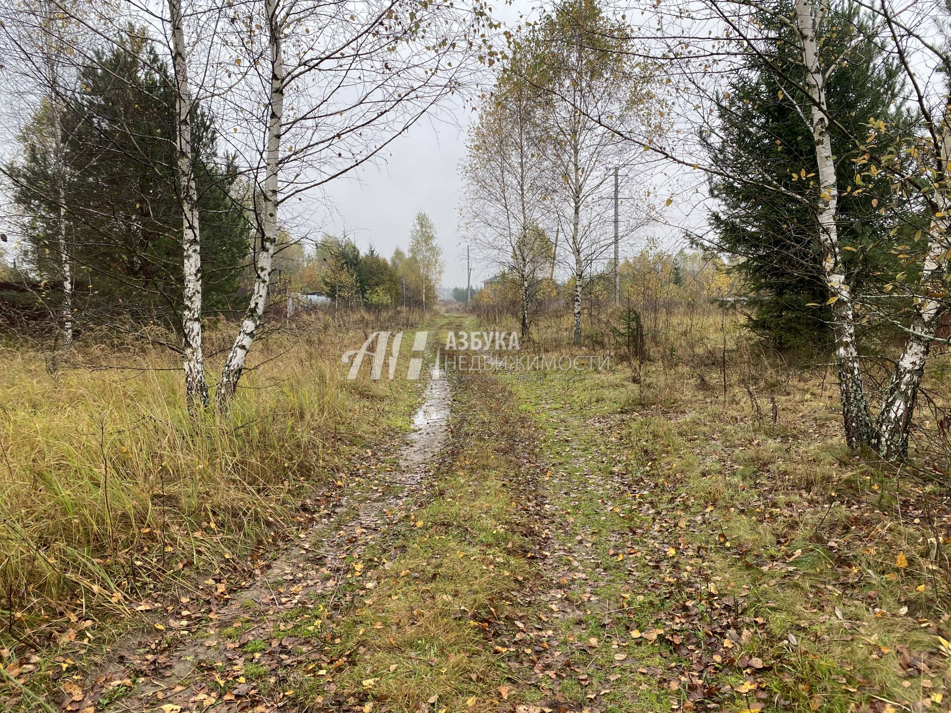 Земли поселения Московская область, Рузский городской округ, деревня Лобково