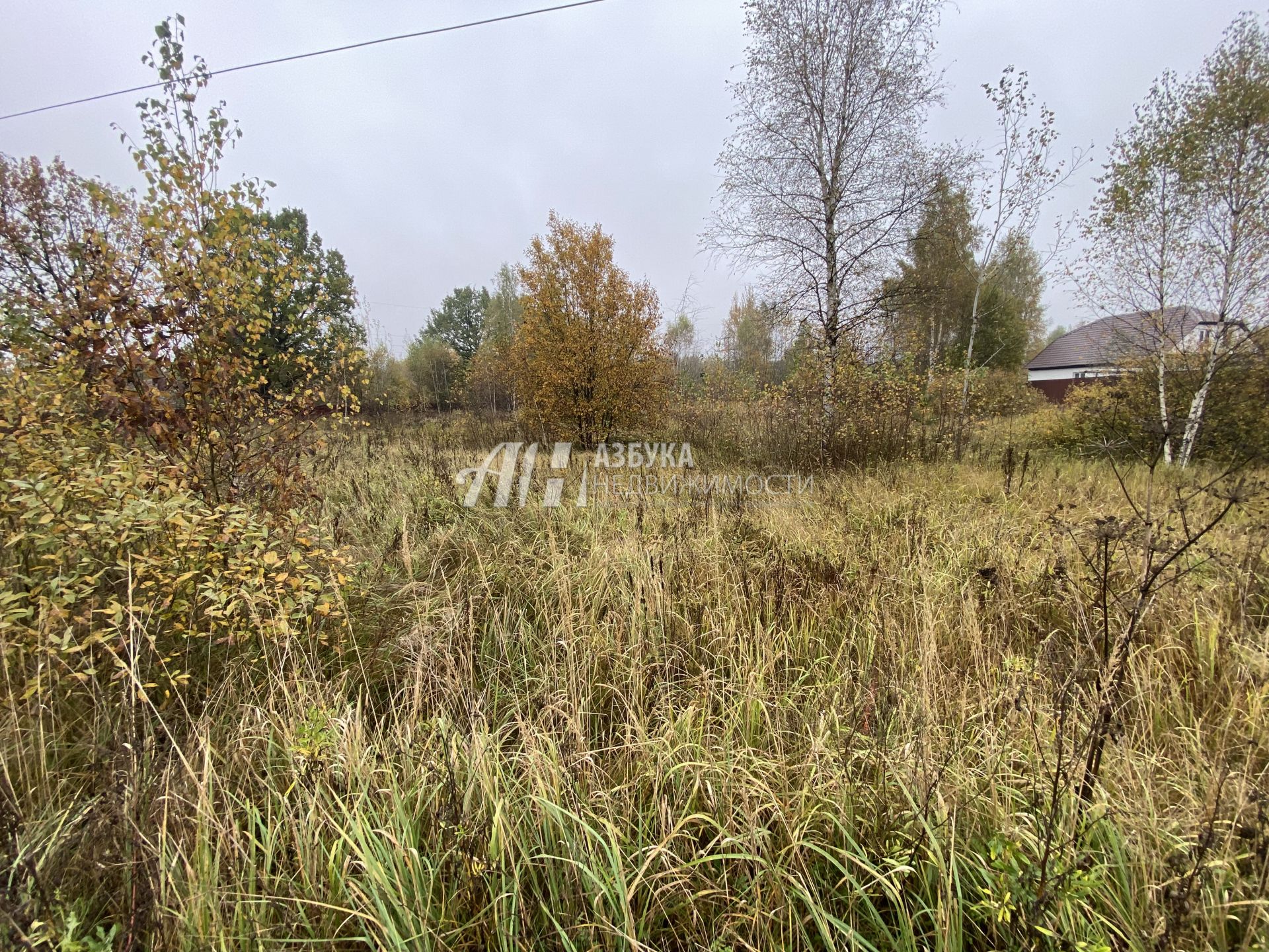 Земли поселения Московская область, Рузский городской округ, посёлок Дорохово, Садовая улица