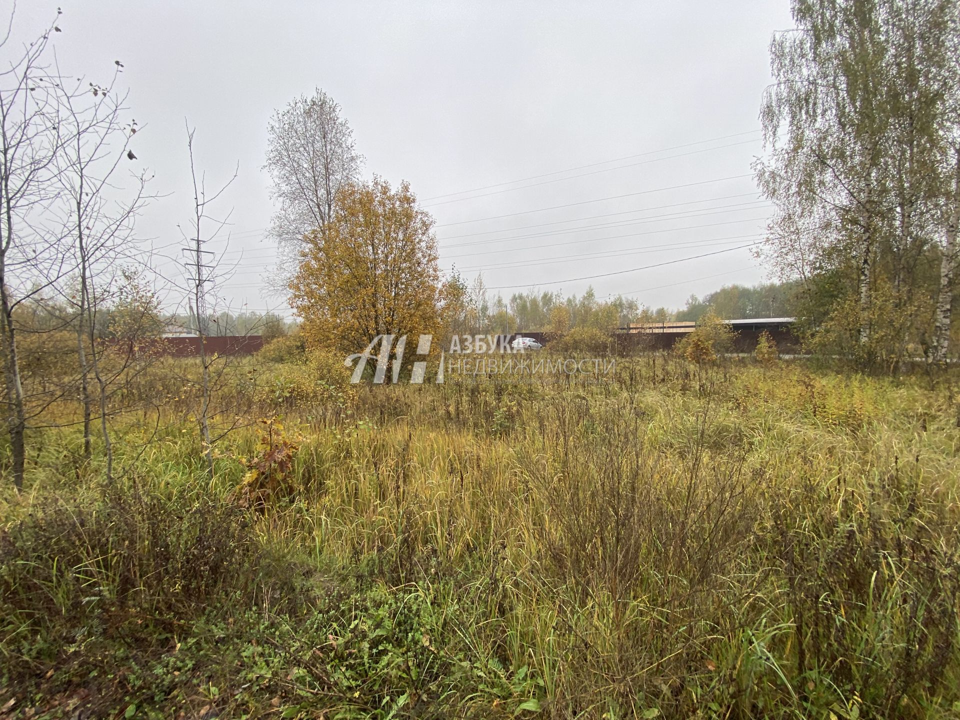 Земли поселения Московская область, Рузский городской округ, посёлок Дорохово, Садовая улица