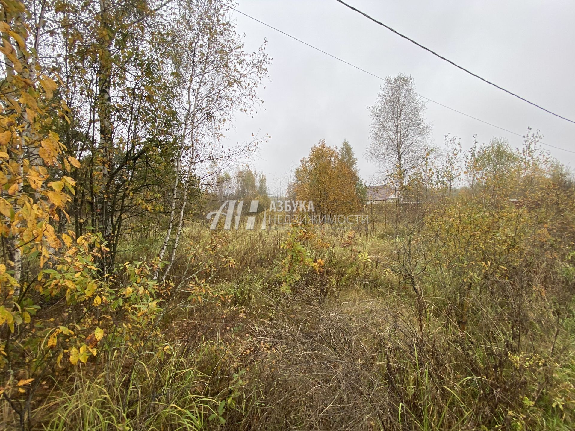 Земли поселения Московская область, Рузский городской округ, посёлок Дорохово, Садовая улица