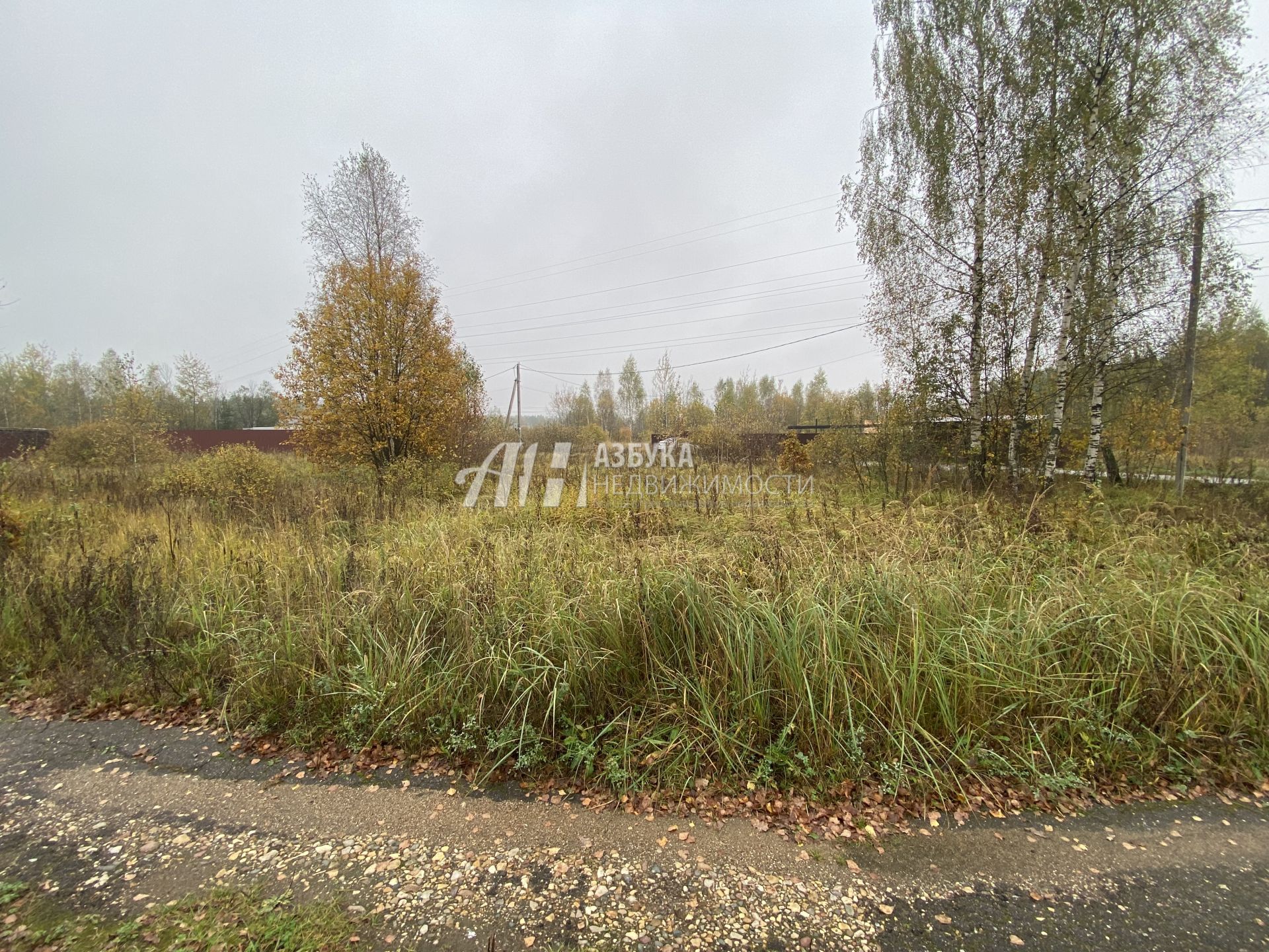 Земли поселения Московская область, Рузский городской округ, посёлок Дорохово, Садовая улица