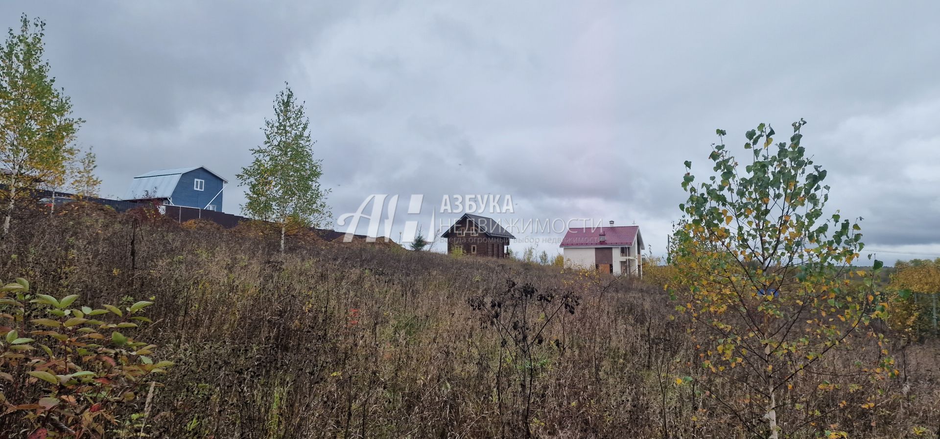 Земли поселения Московская область, городской округ Мытищи, деревня Протасово, Берёзовая улица