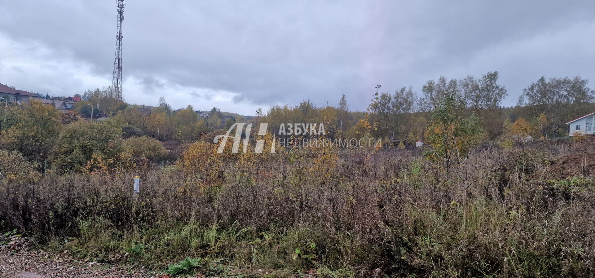 Земли поселения Московская область, городской округ Мытищи, деревня Протасово, Берёзовая улица