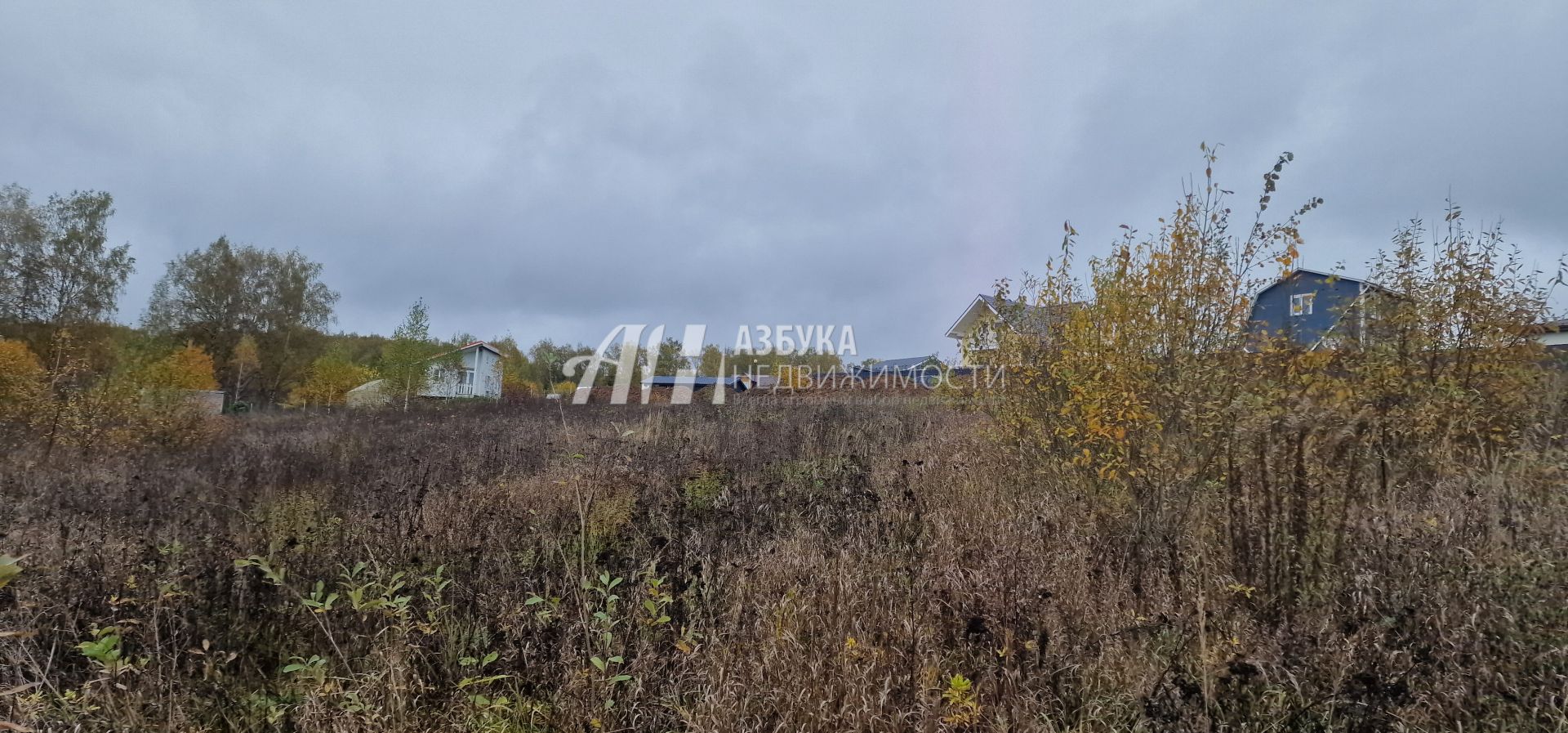 Земли поселения Московская область, городской округ Мытищи, деревня Протасово, Берёзовая улица