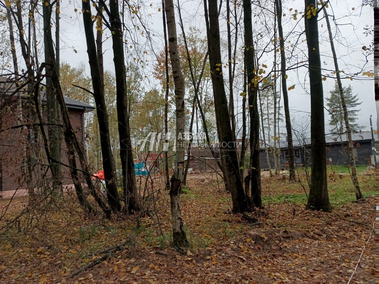 Земли сельхозназначения Московская область, городской округ Химки, квартал дачной застройки Бризе