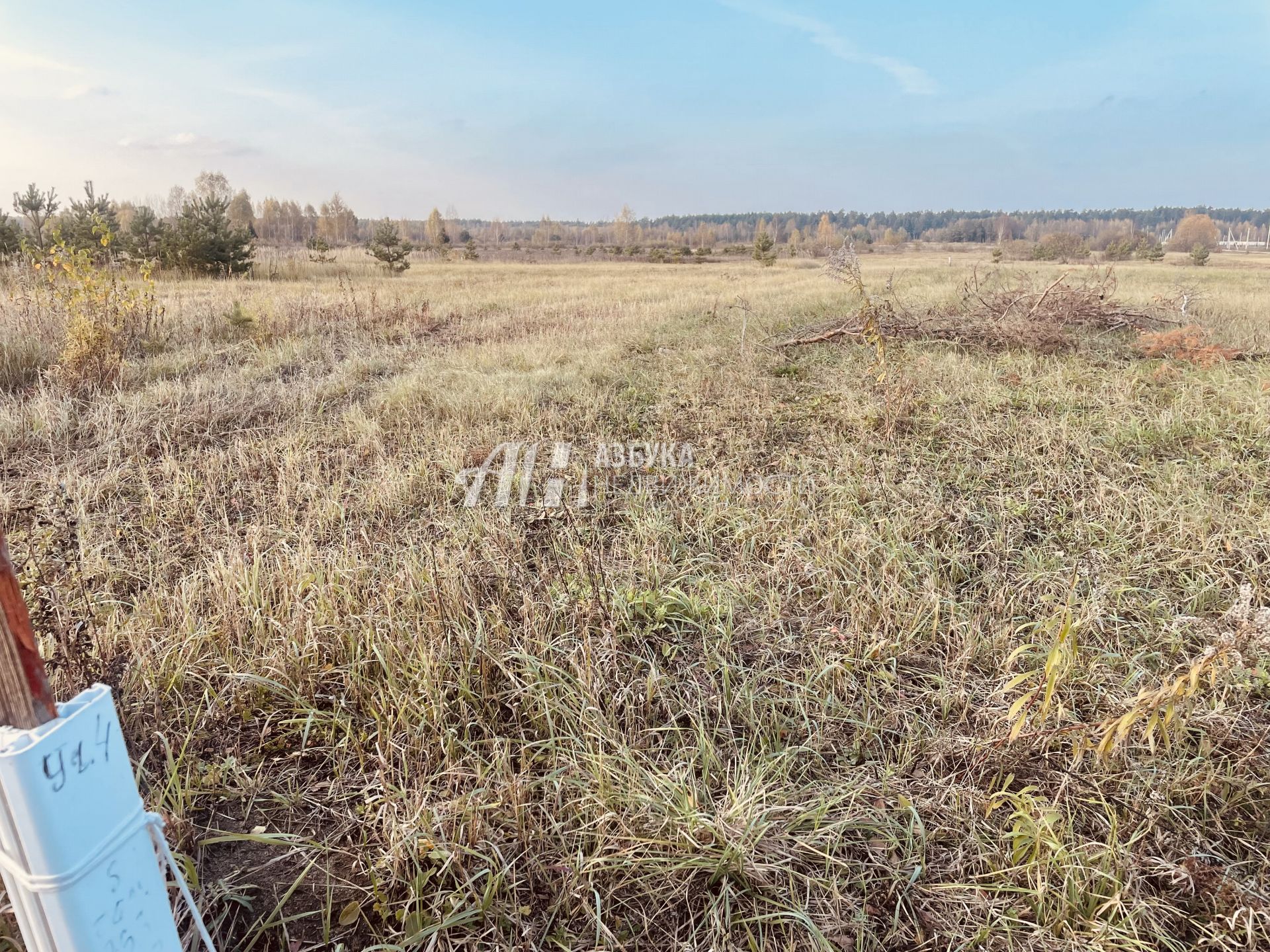 Земли поселения Московская область, Богородский городской округ, Ногинск, Ново-Богородская улица