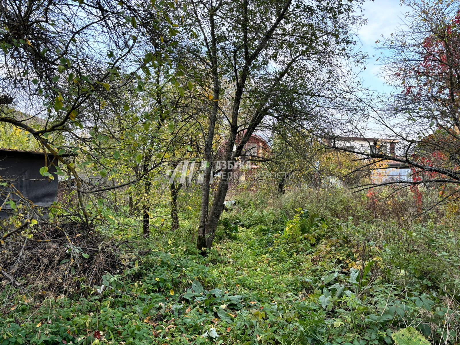 Земли сельхозназначения Московская область, городской округ Мытищи, деревня Грибки, СНТ Смородинка