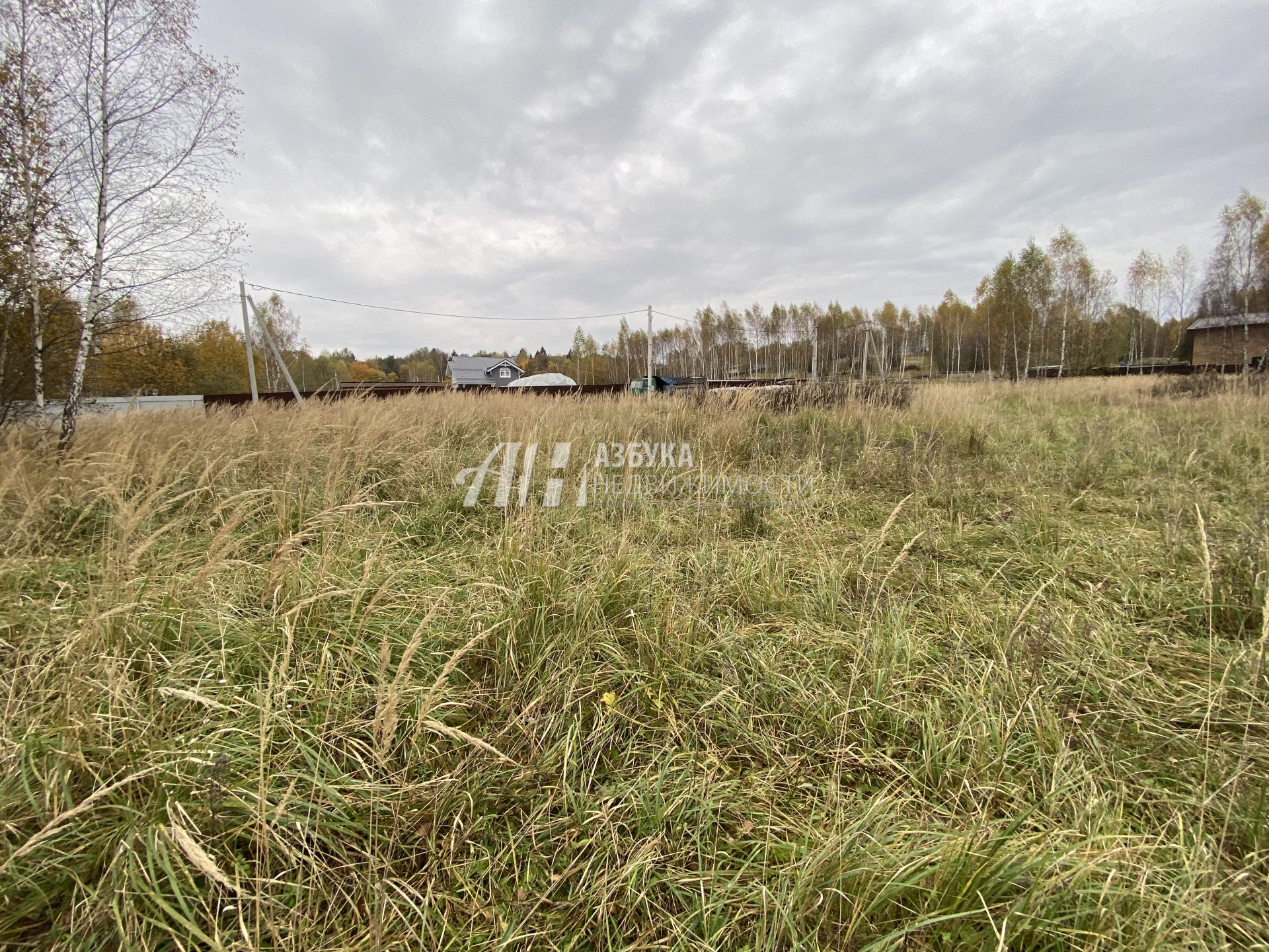 Земли поселения Московская область, Рузский городской округ, деревня Игнатьево