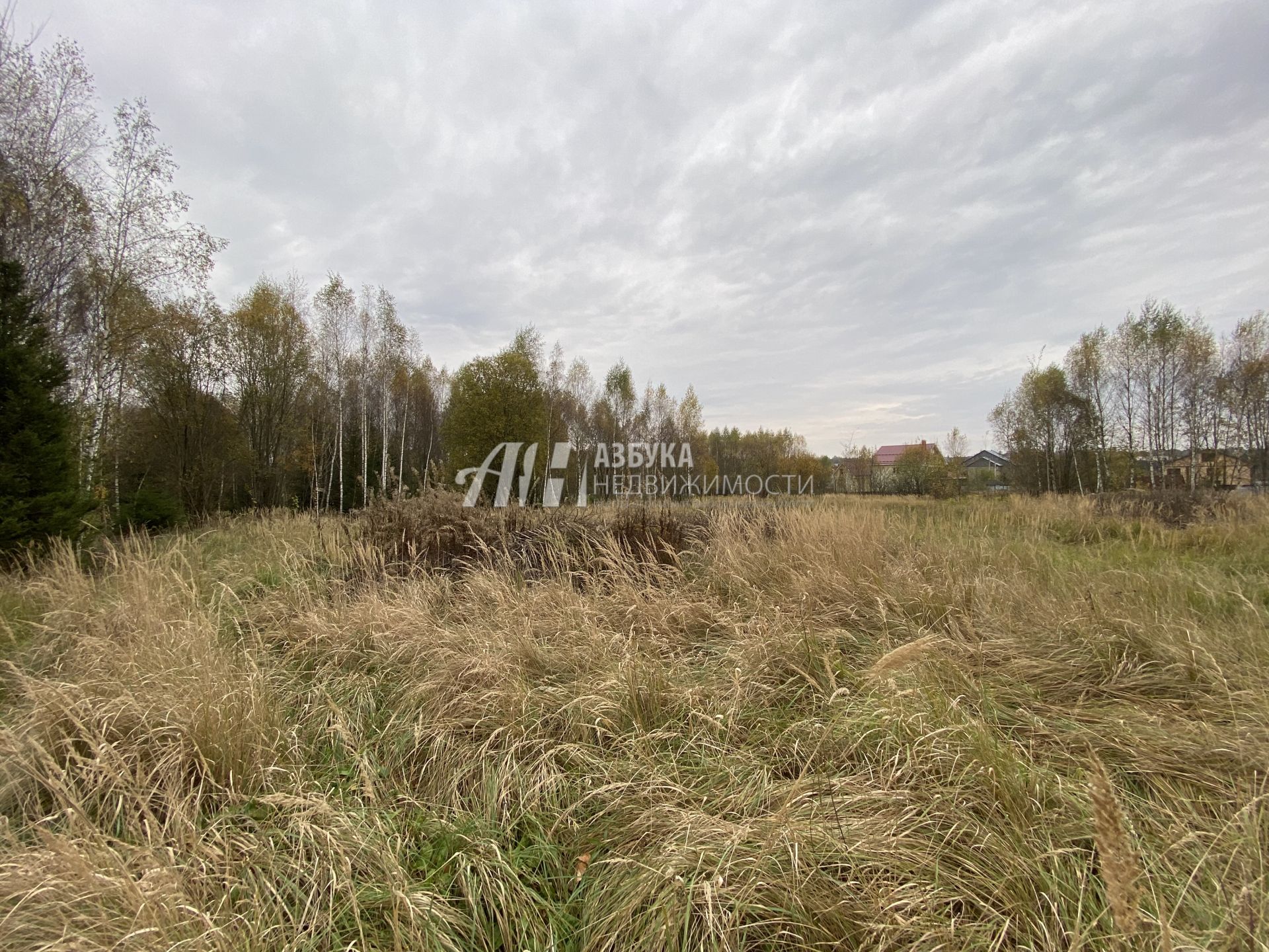 Земли поселения Московская область, Рузский городской округ, деревня Игнатьево