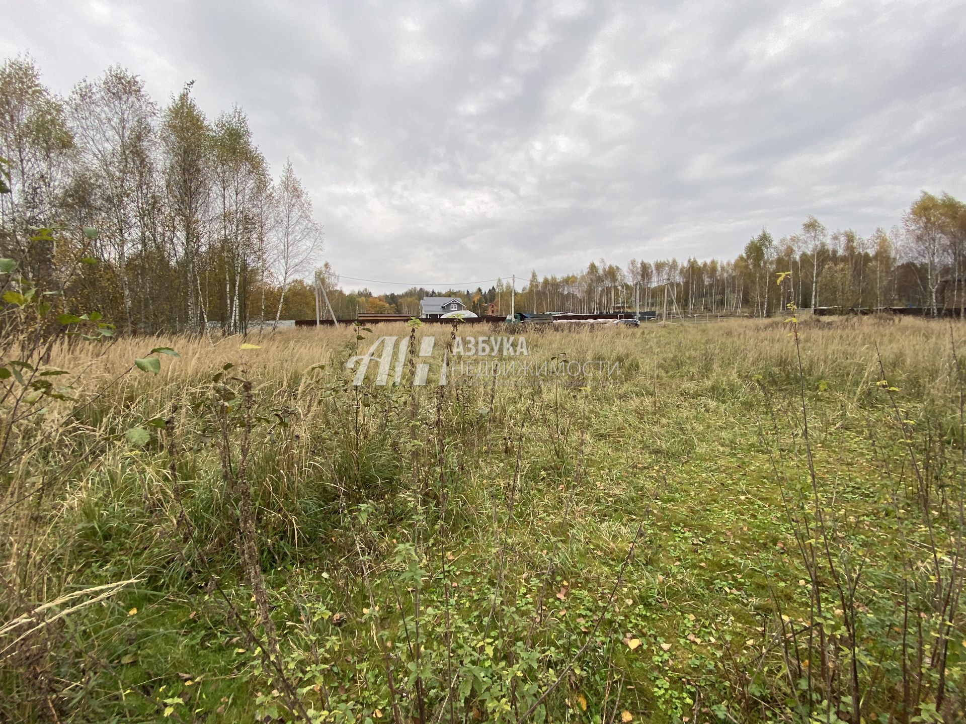 Земли поселения Московская область, Рузский городской округ, деревня Игнатьево