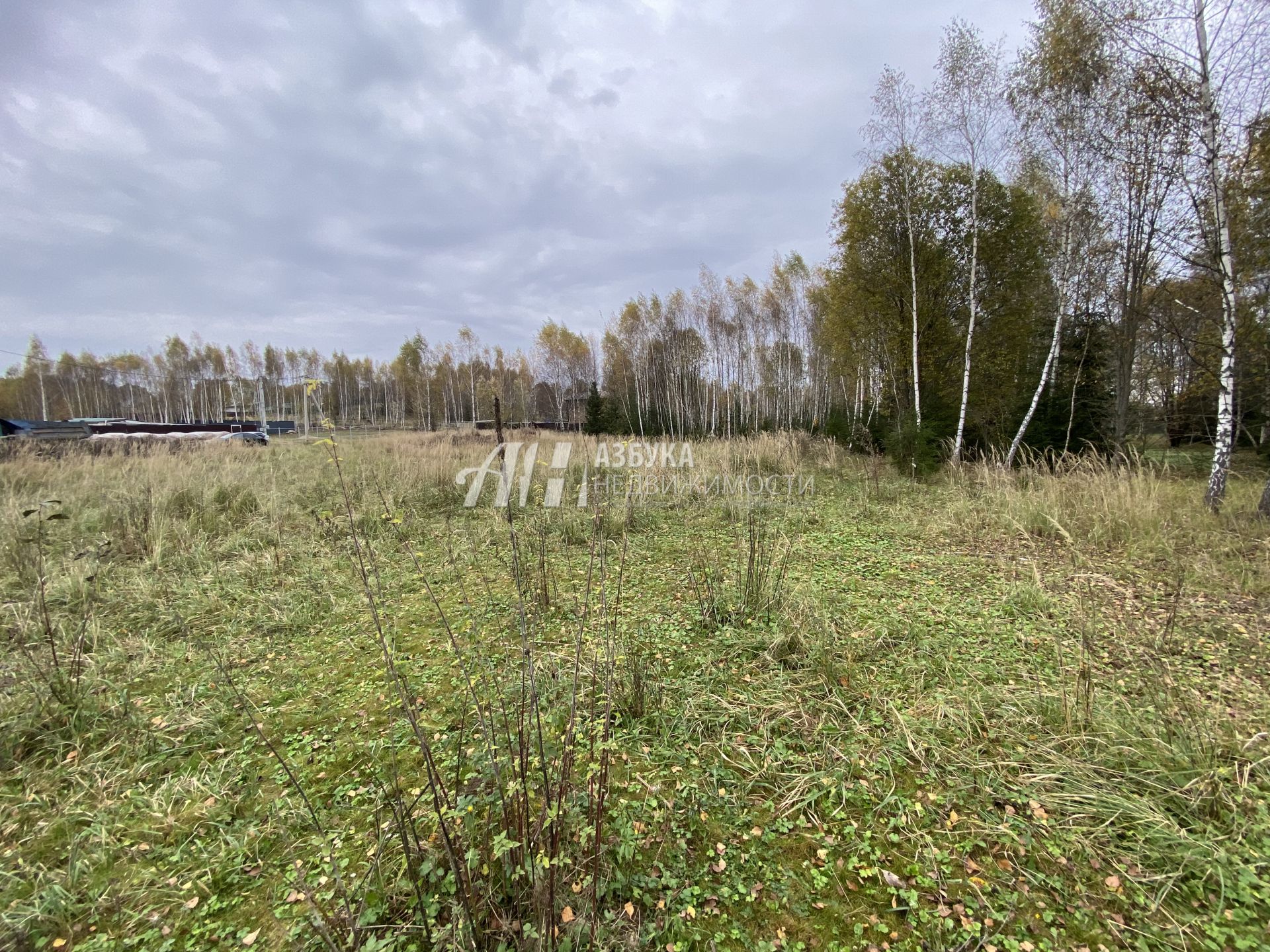 Земли поселения Московская область, Рузский городской округ, деревня Игнатьево