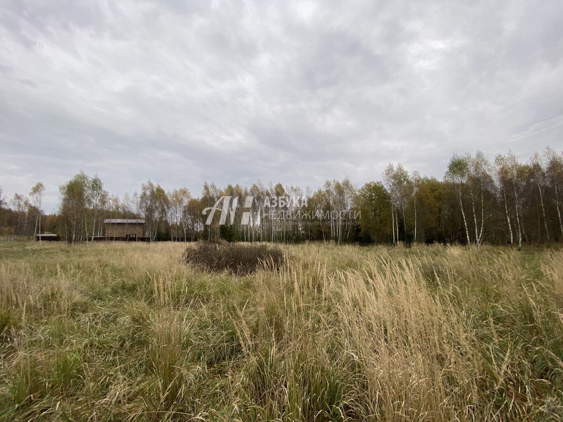 Земли поселения Московская область, Рузский городской округ, деревня Игнатьево