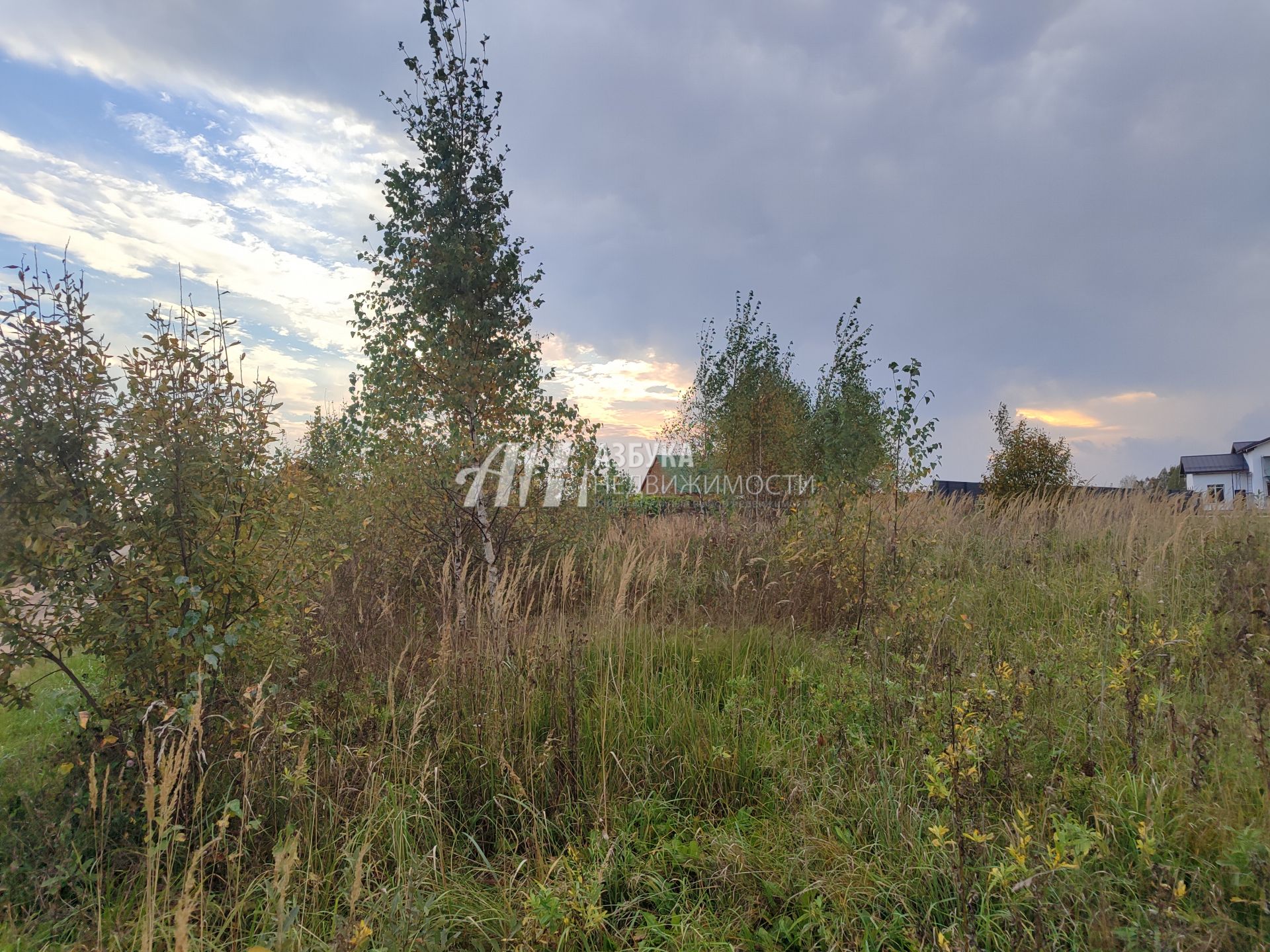 Земли поселения Московская область, Можайский городской округ, деревня Красновидово