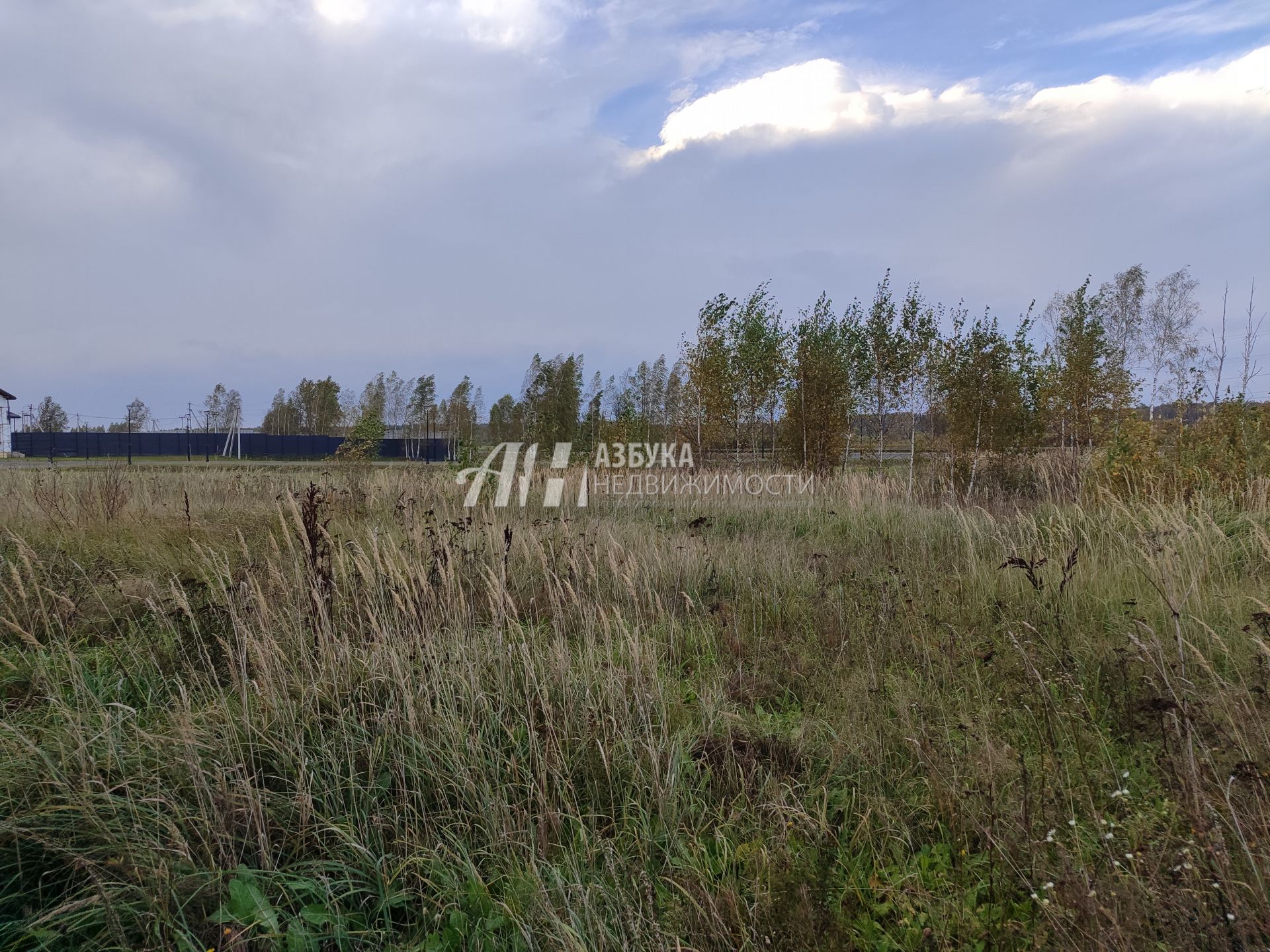 Земли поселения Московская область, Можайский городской округ, деревня Красновидово