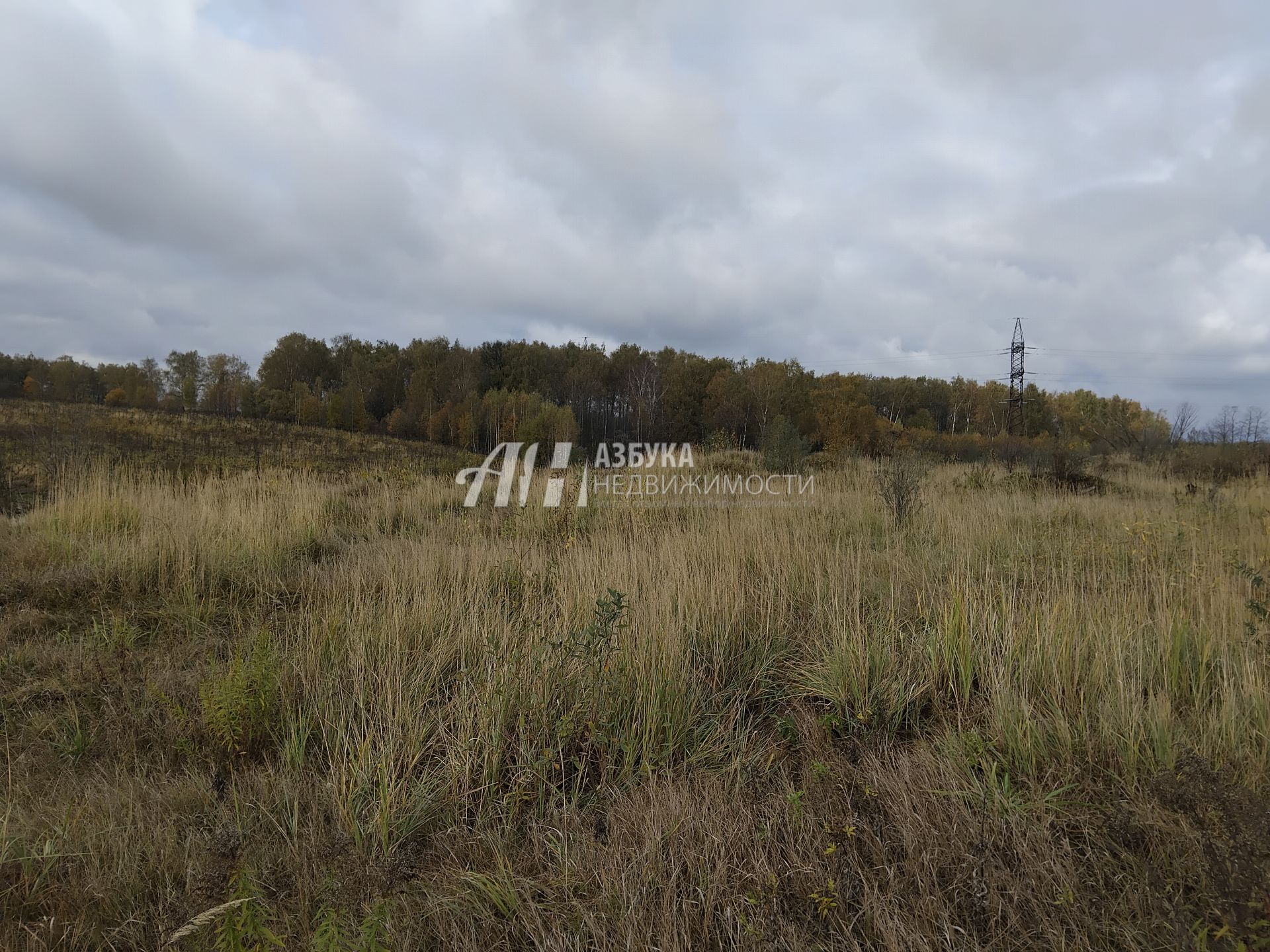 Земли поселения Москва, Троицкий административный округ, Краснопахорский район, деревня Подосинки