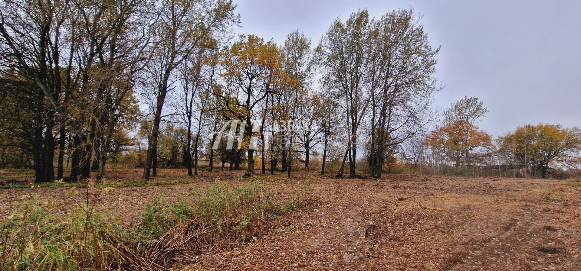  Московская область, Дмитровский городской округ, дачный посёлок Даниловский