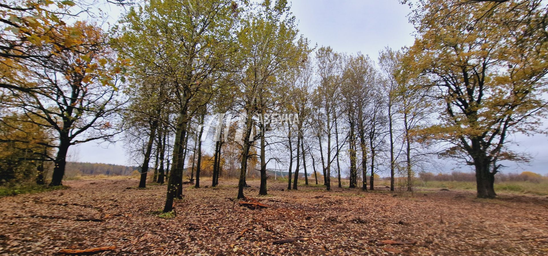  Московская область, Дмитровский городской округ, дачный посёлок Даниловский