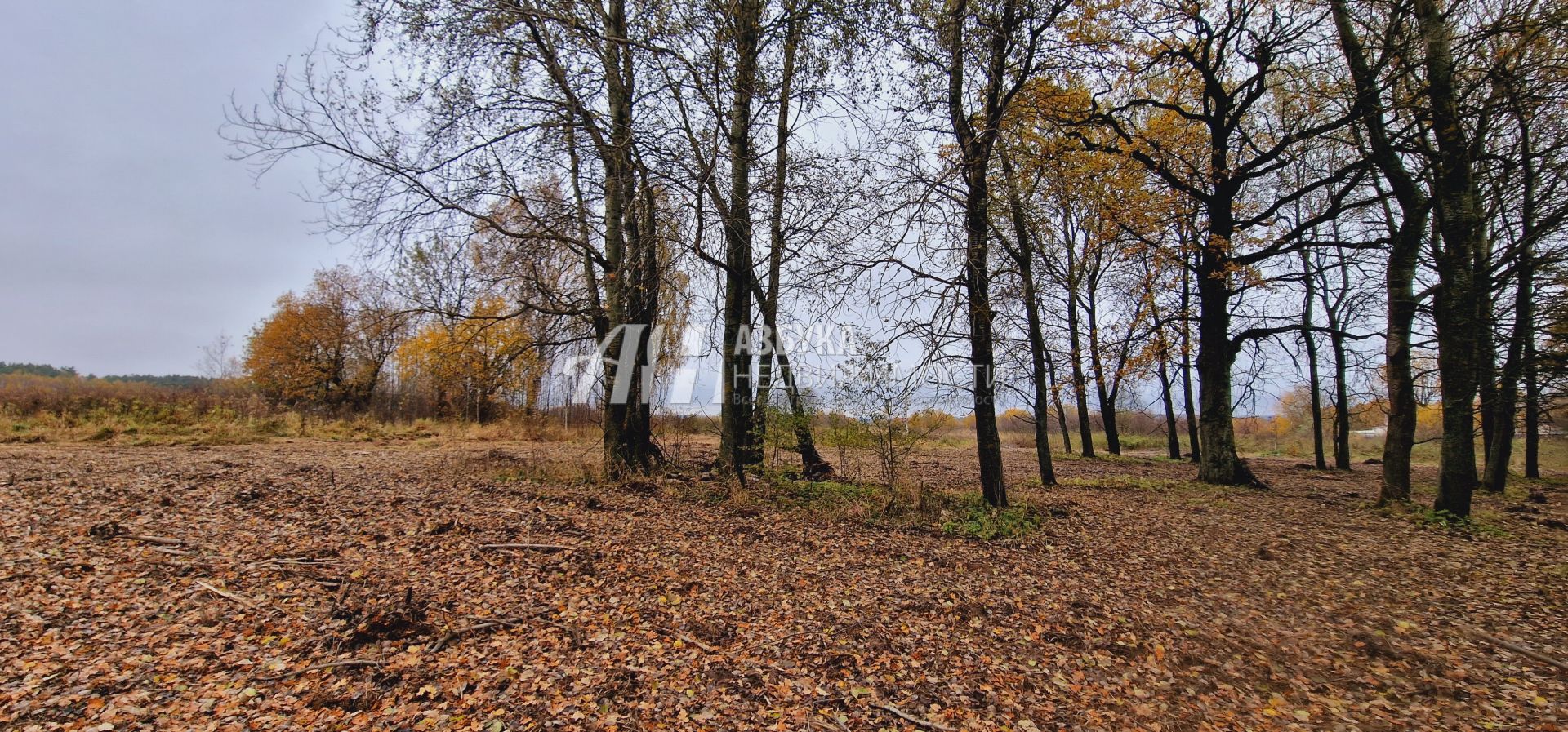  Московская область, Дмитровский городской округ, дачный посёлок Даниловский