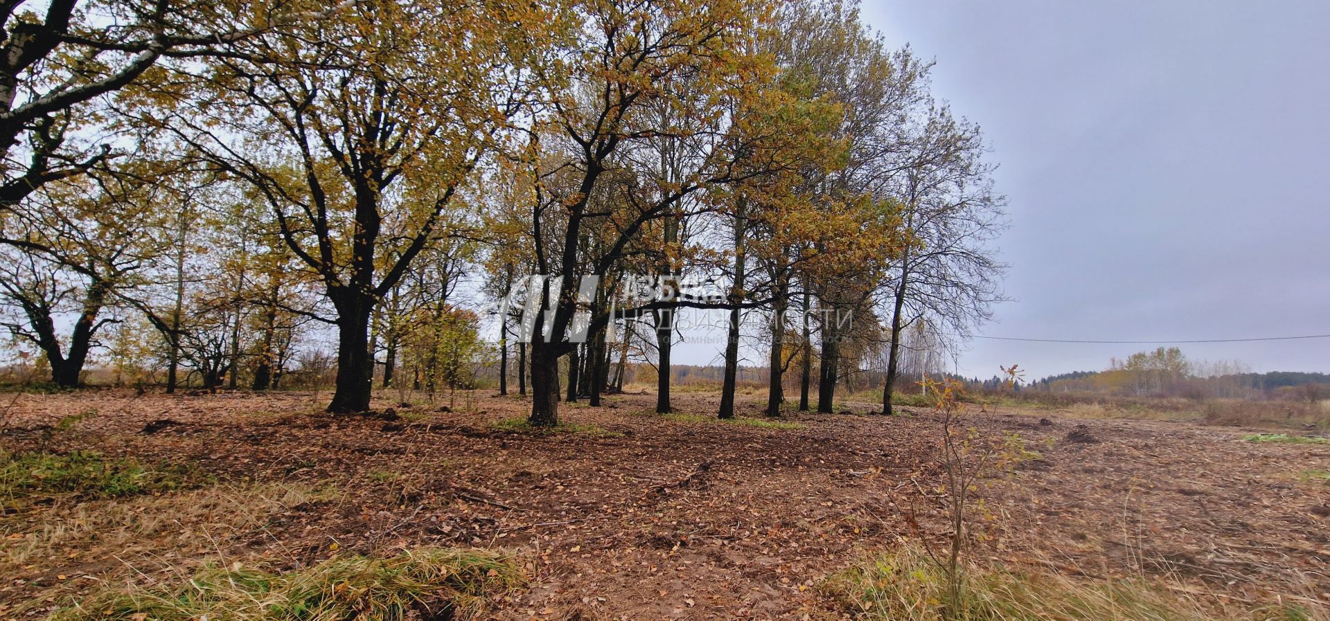  Московская область, Дмитровский городской округ, дачный посёлок Даниловский