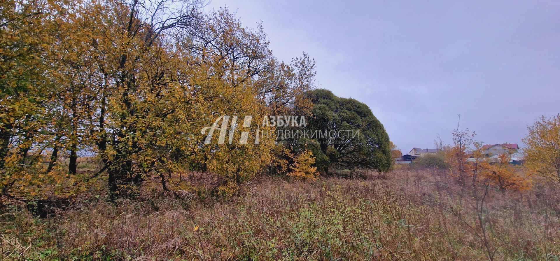  Московская область, Дмитровский городской округ, дачный посёлок Даниловский