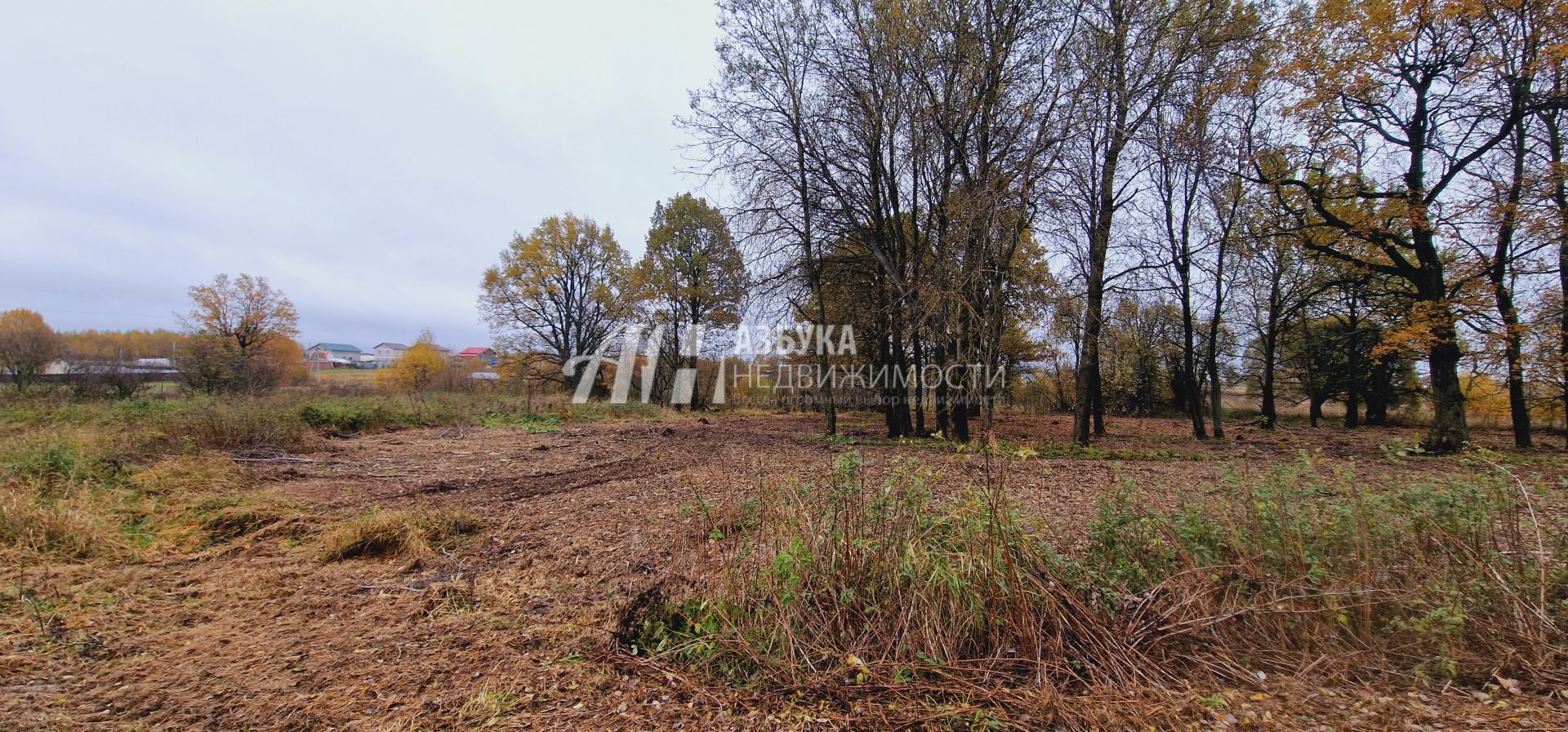  Московская область, Дмитровский городской округ, дачный посёлок Даниловский