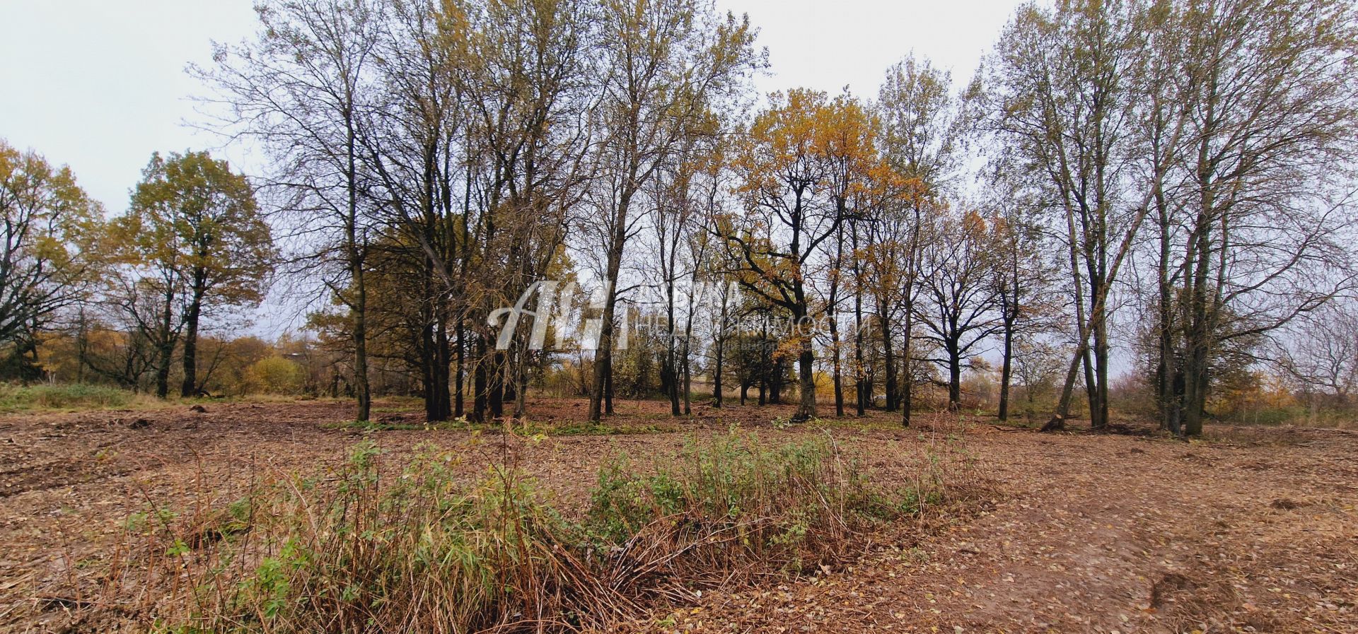  Московская область, Дмитровский городской округ, дачный посёлок Даниловский