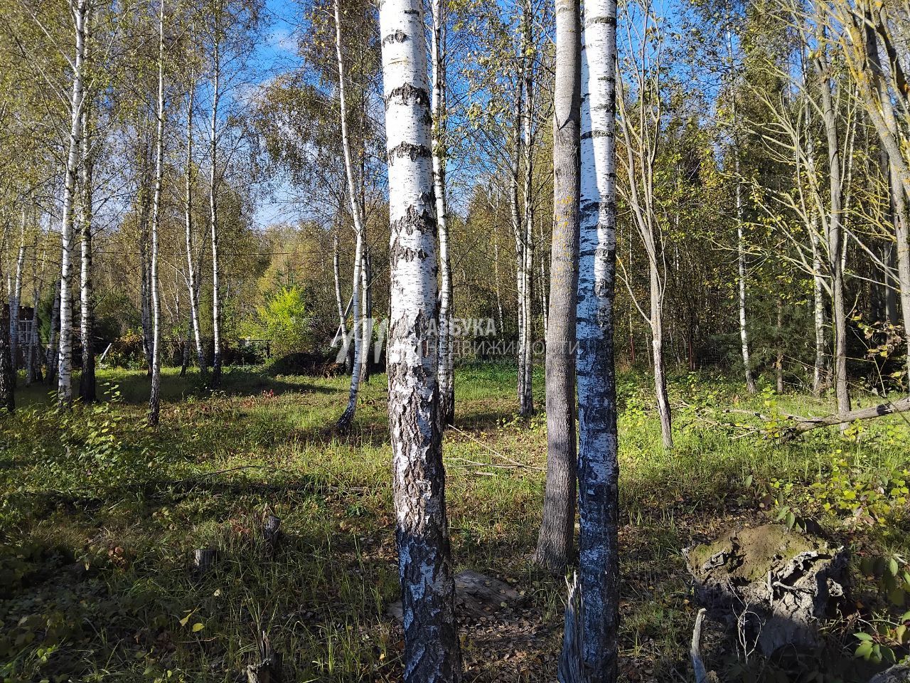 Земли сельхозназначения Москва, Троицкий административный округ, Краснопахорский район, СНТ Оазис