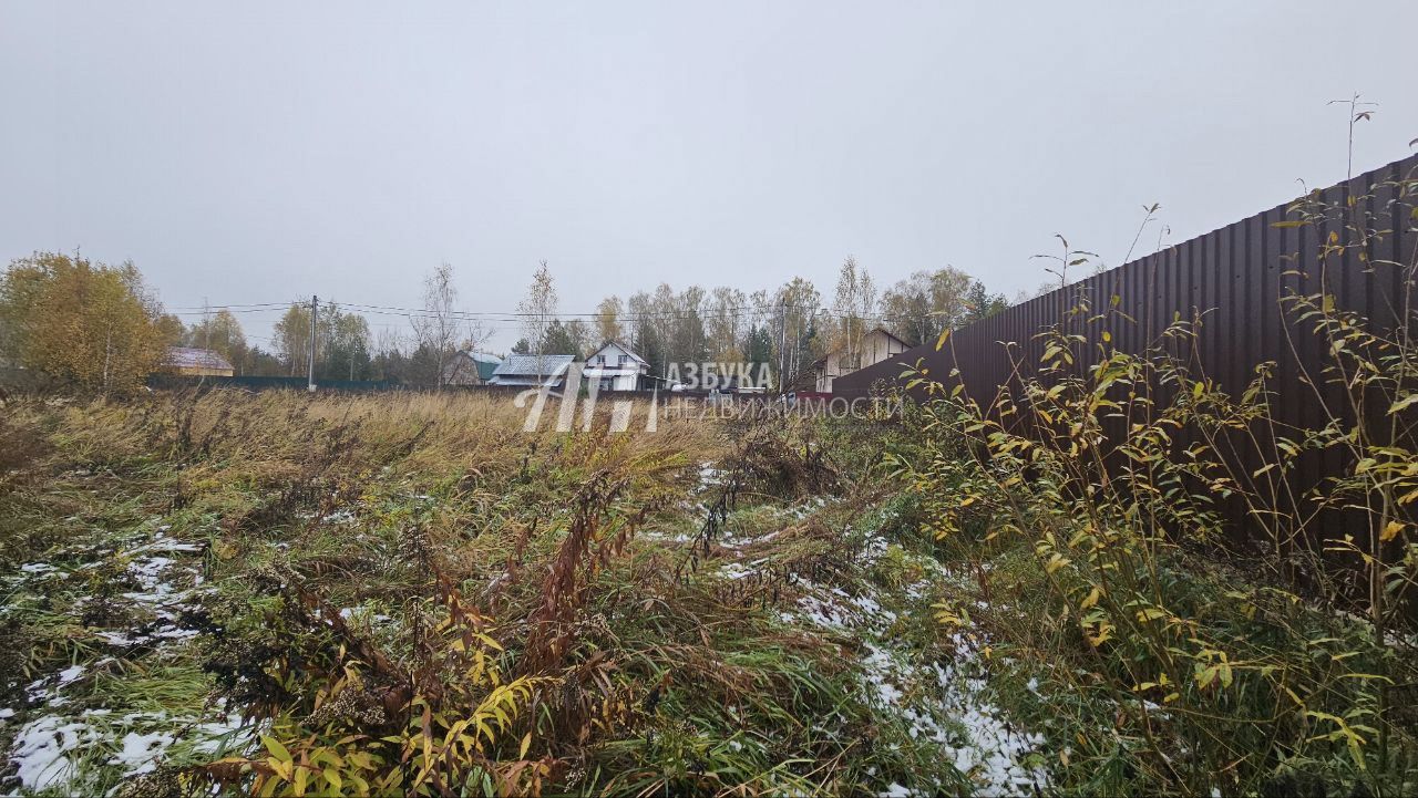 Земли поселения Московская область, Богородский городской округ, село Ямкино