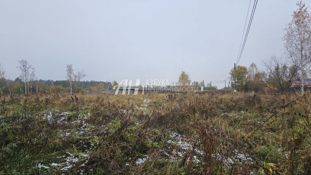 Земли поселения Московская область, Богородский городской округ, село Ямкино