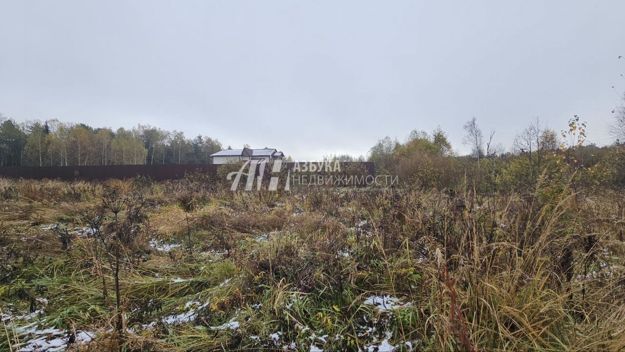 Земли поселения Московская область, Богородский городской округ, село Ямкино